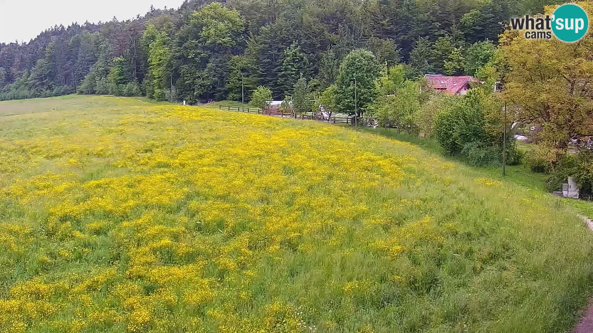 Nordic Centre Bonovec – camera en vivo