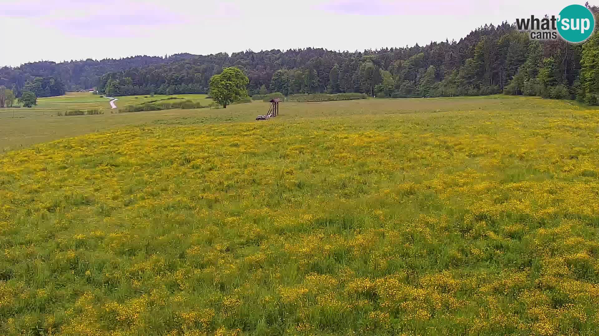 Nordic Centre Bonovec – camera en vivo