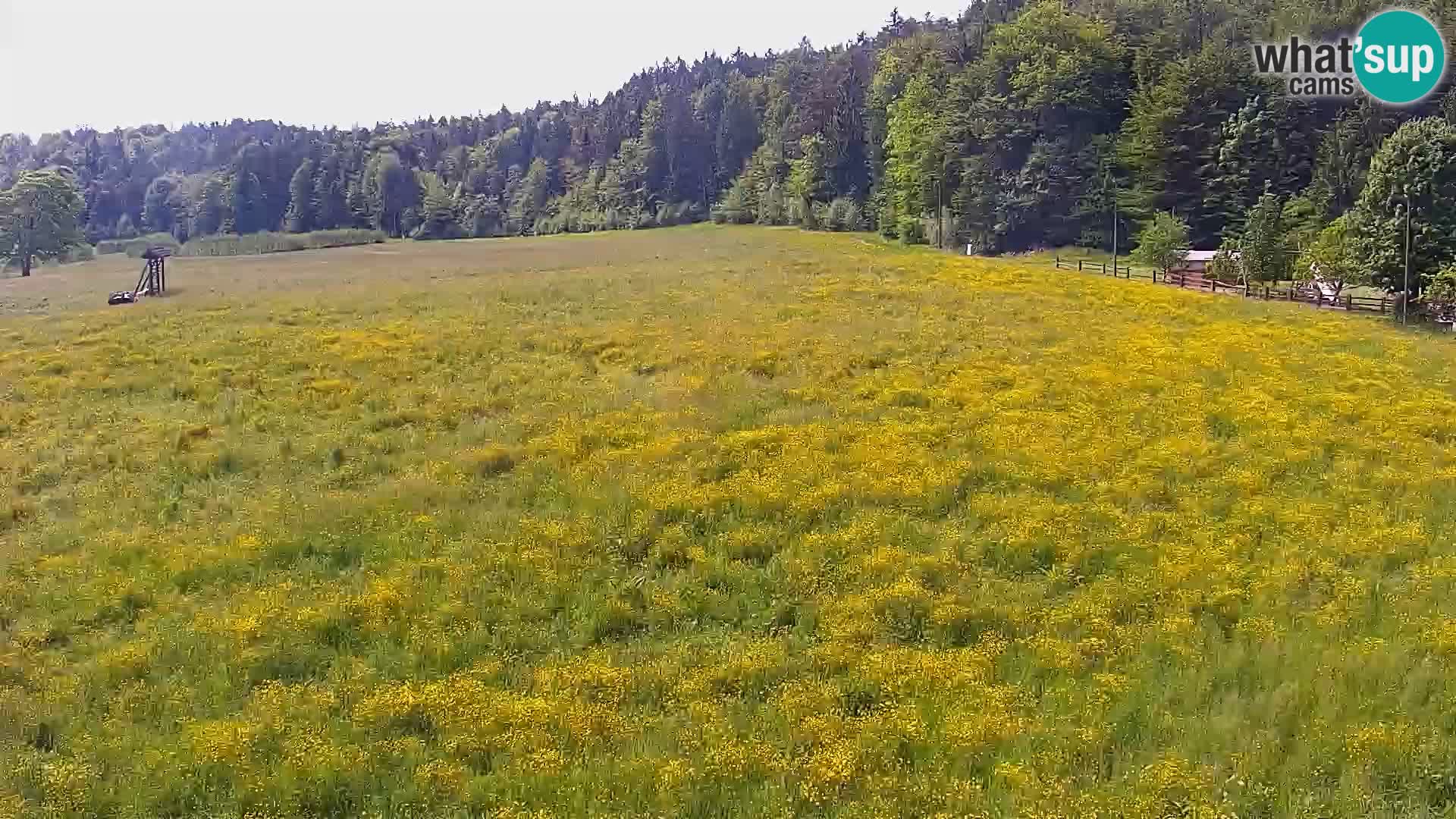 Live webcam Nordic center Bonovec – Medvode