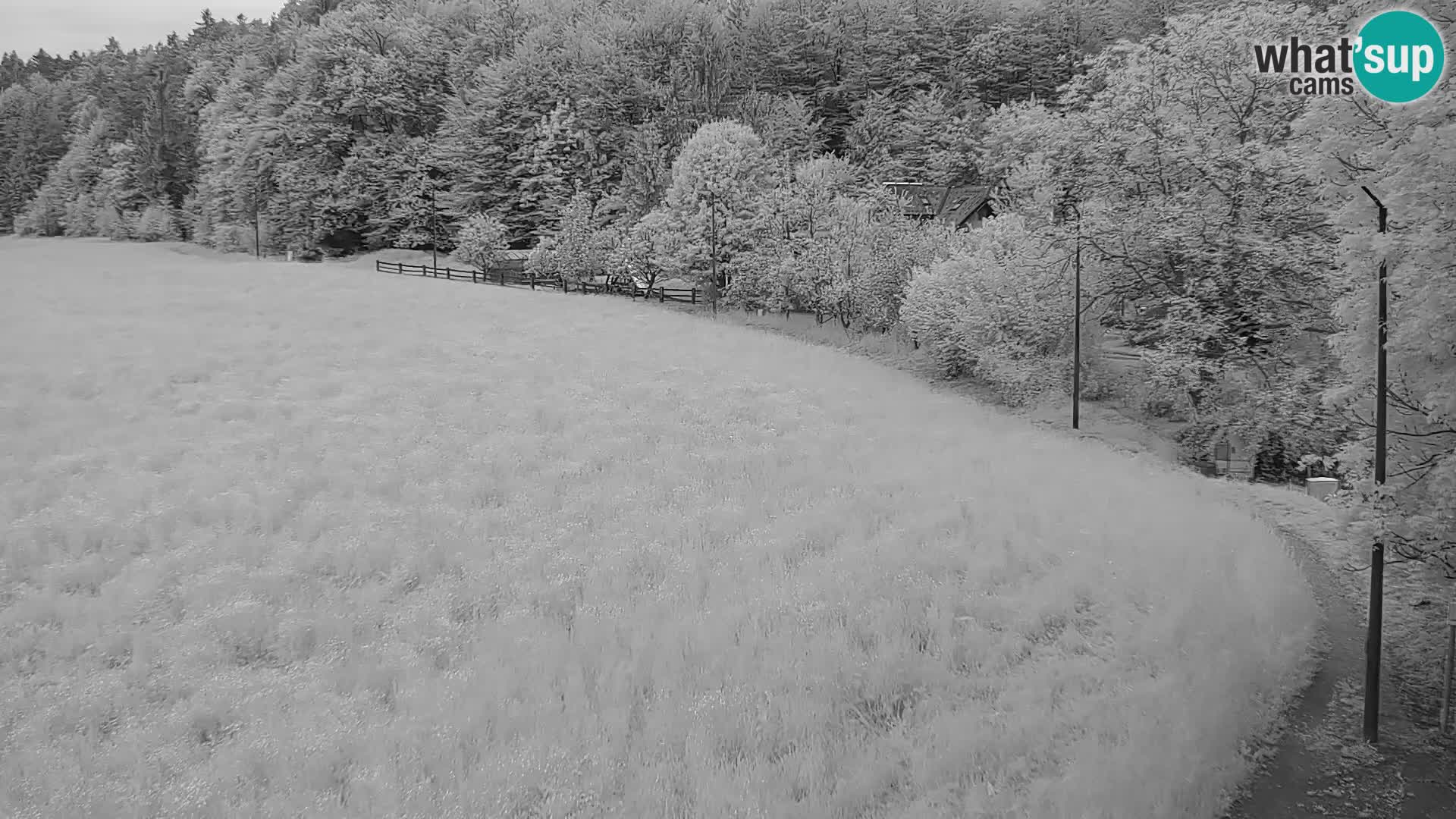 Live webcam Centro sci nordico a Bonovec