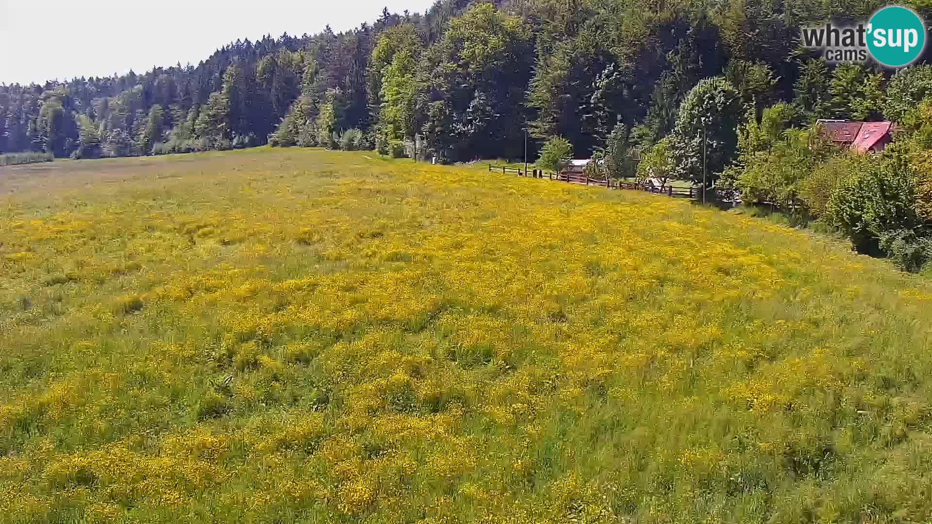 Webcam Live Nordic center Bonovec – Medvode