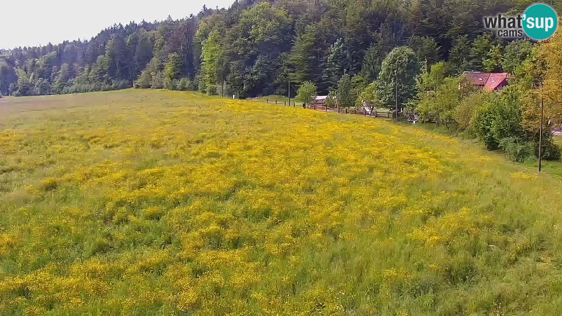 Live webcam Nordic center Bonovec – Medvode
