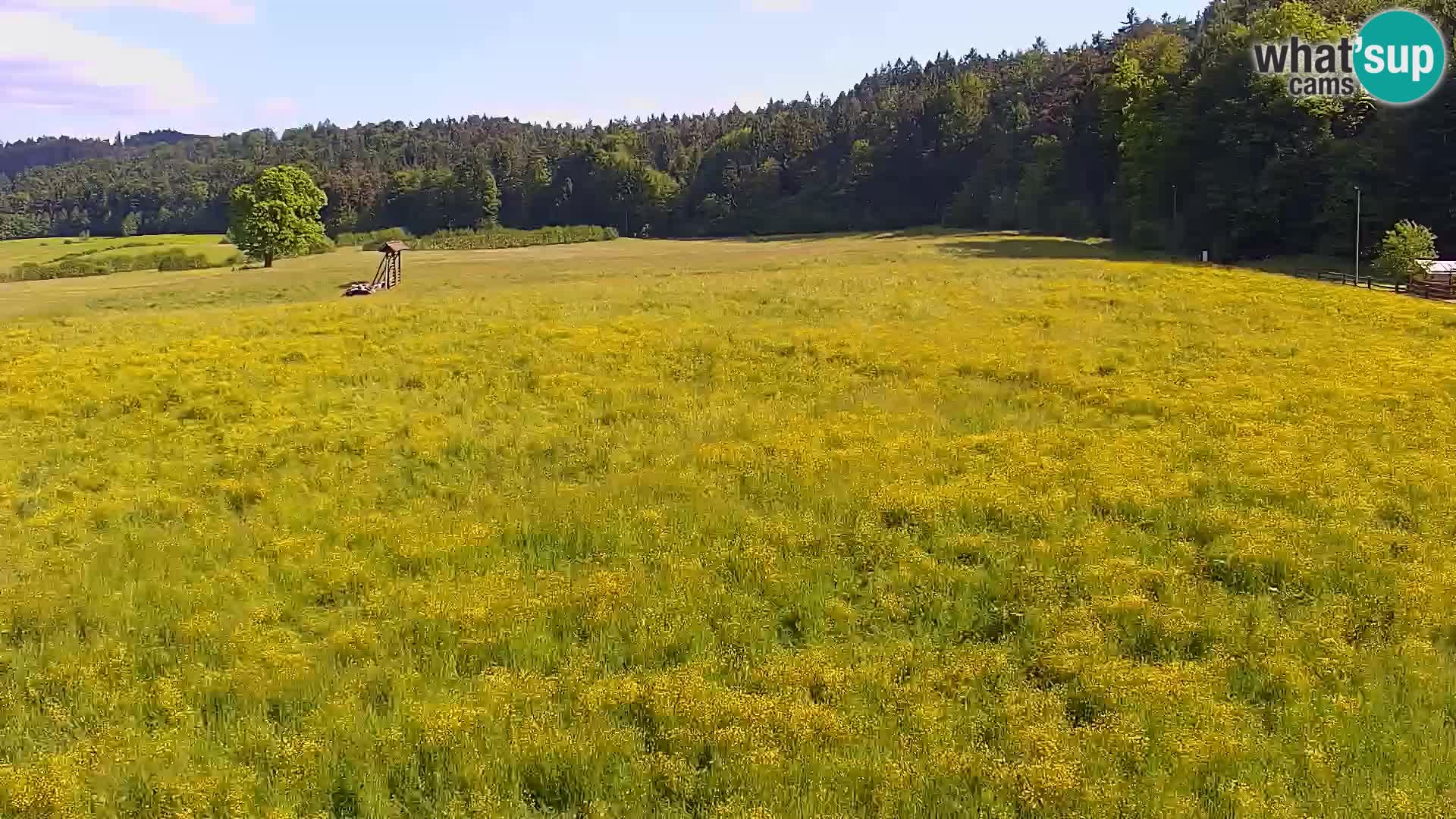 Le nordic center Bonovec – Live webcam