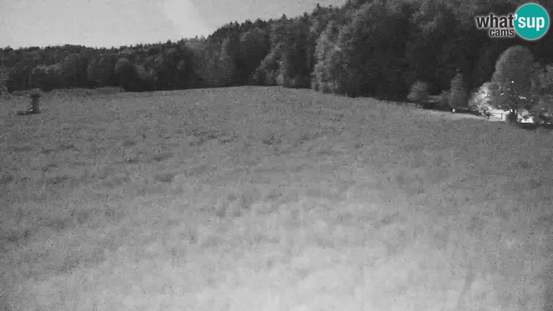 Spletna kamera Nordijski center Bonovec