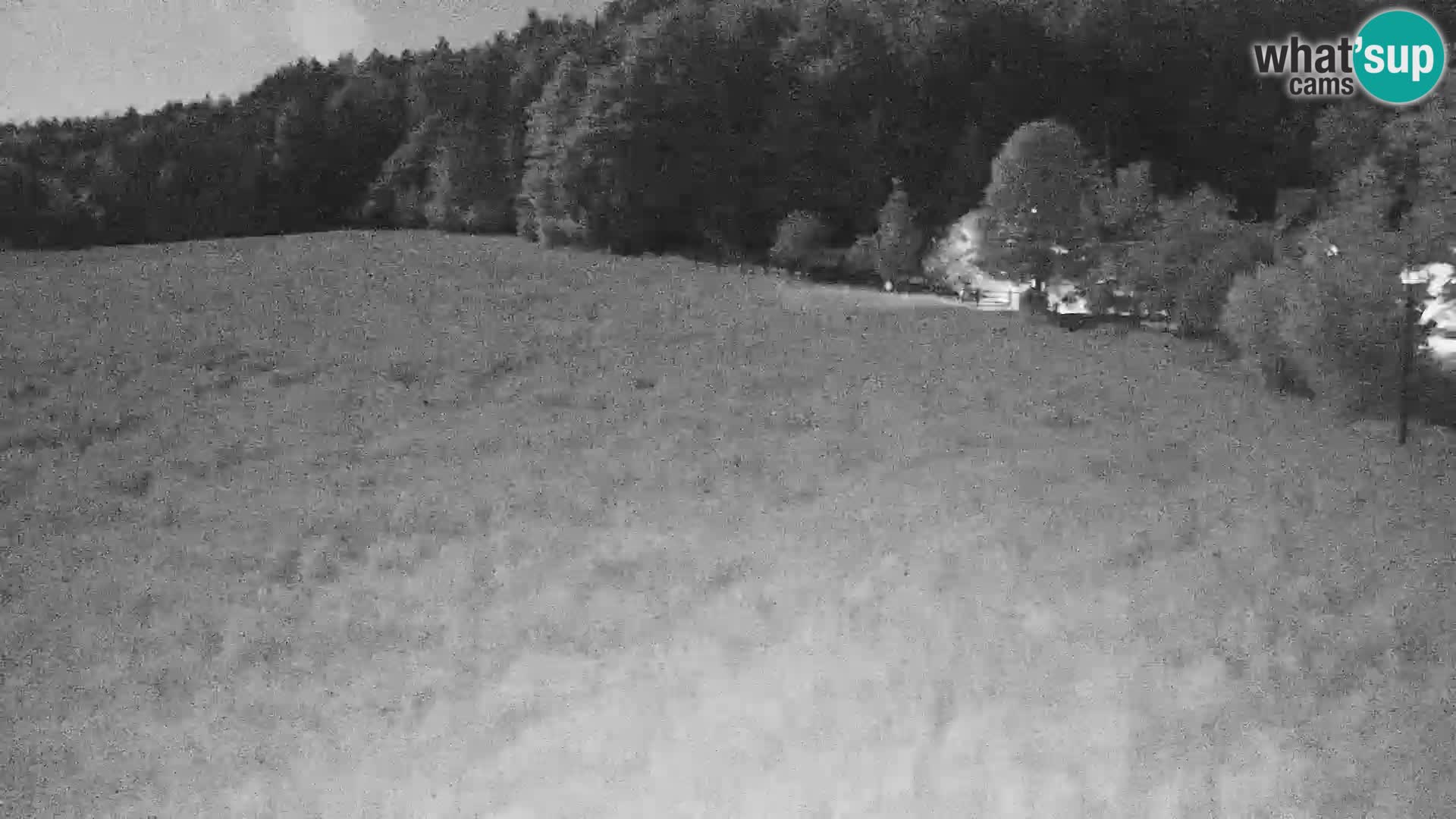 Live webcam Centro sci nordico a Bonovec