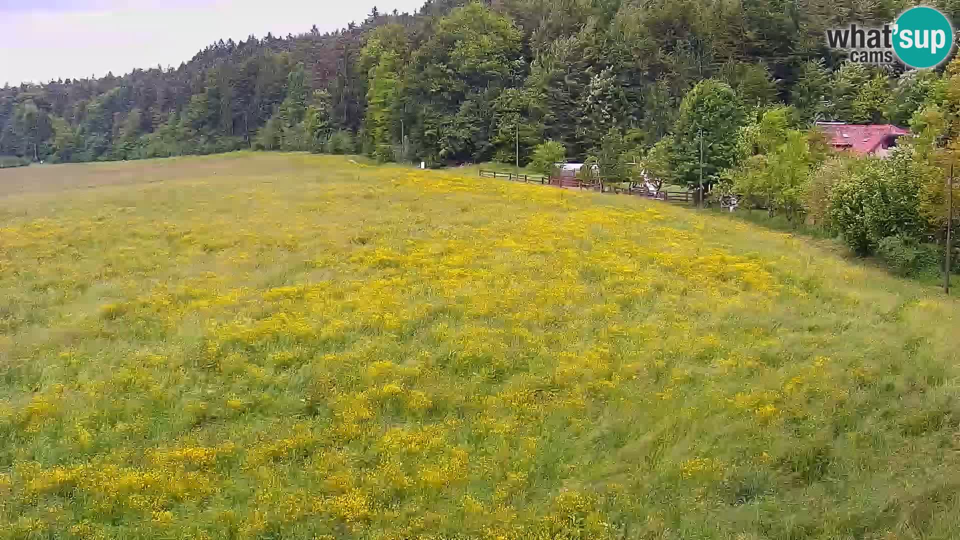 Web kamera Nordijski centar Bonovec