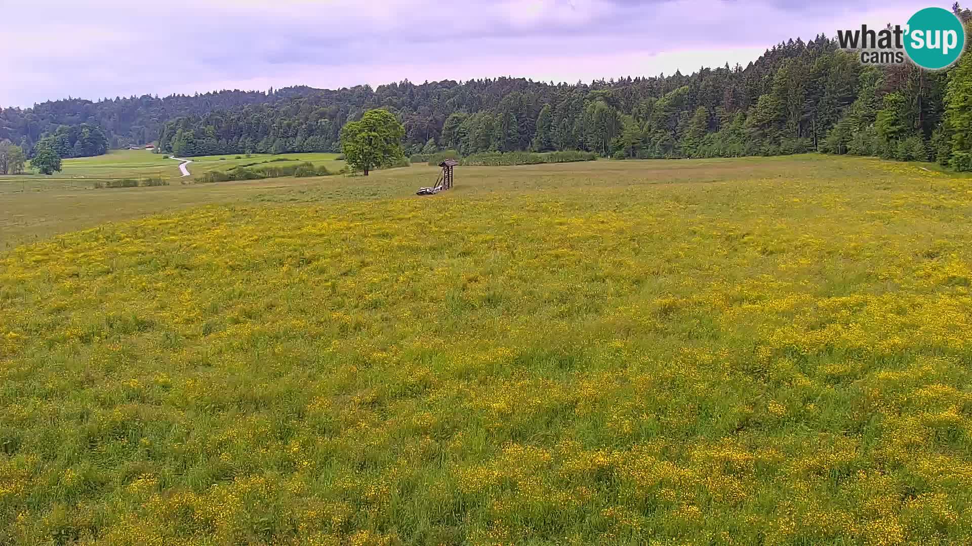 Live webcam Nordic center Bonovec – Medvode