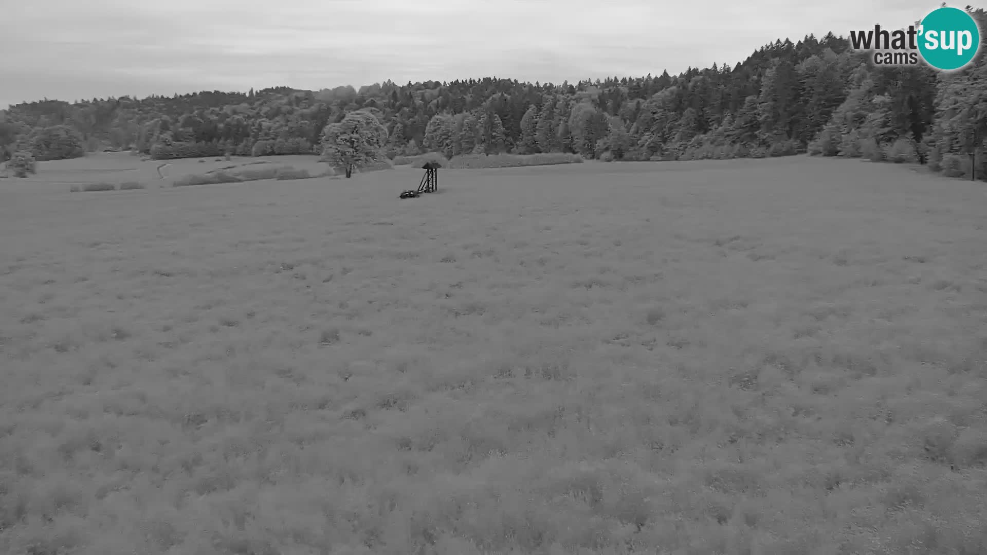 Live webcam Centro sci nordico a Bonovec