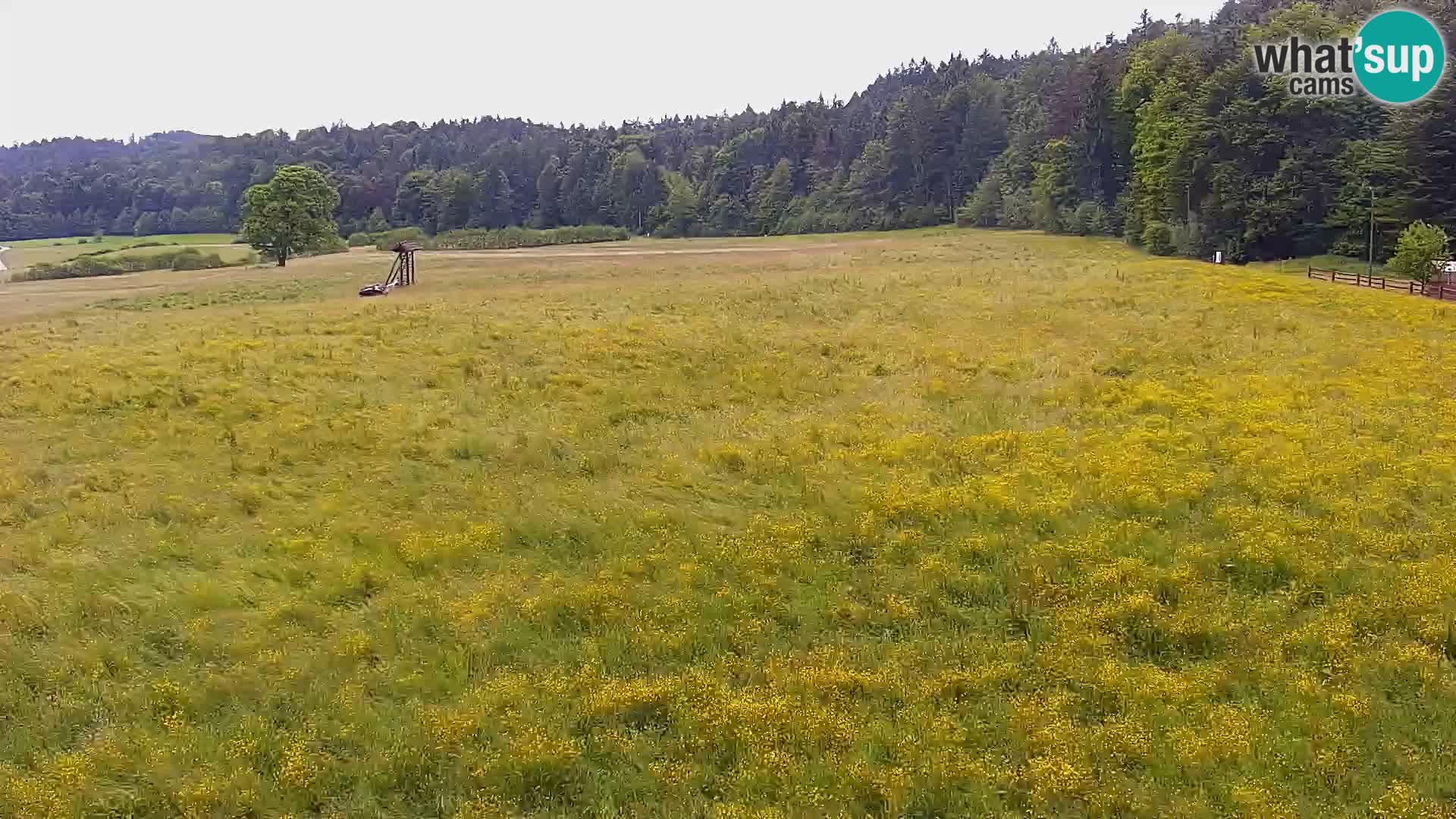 Webcam Live Nordic center Bonovec – Medvode