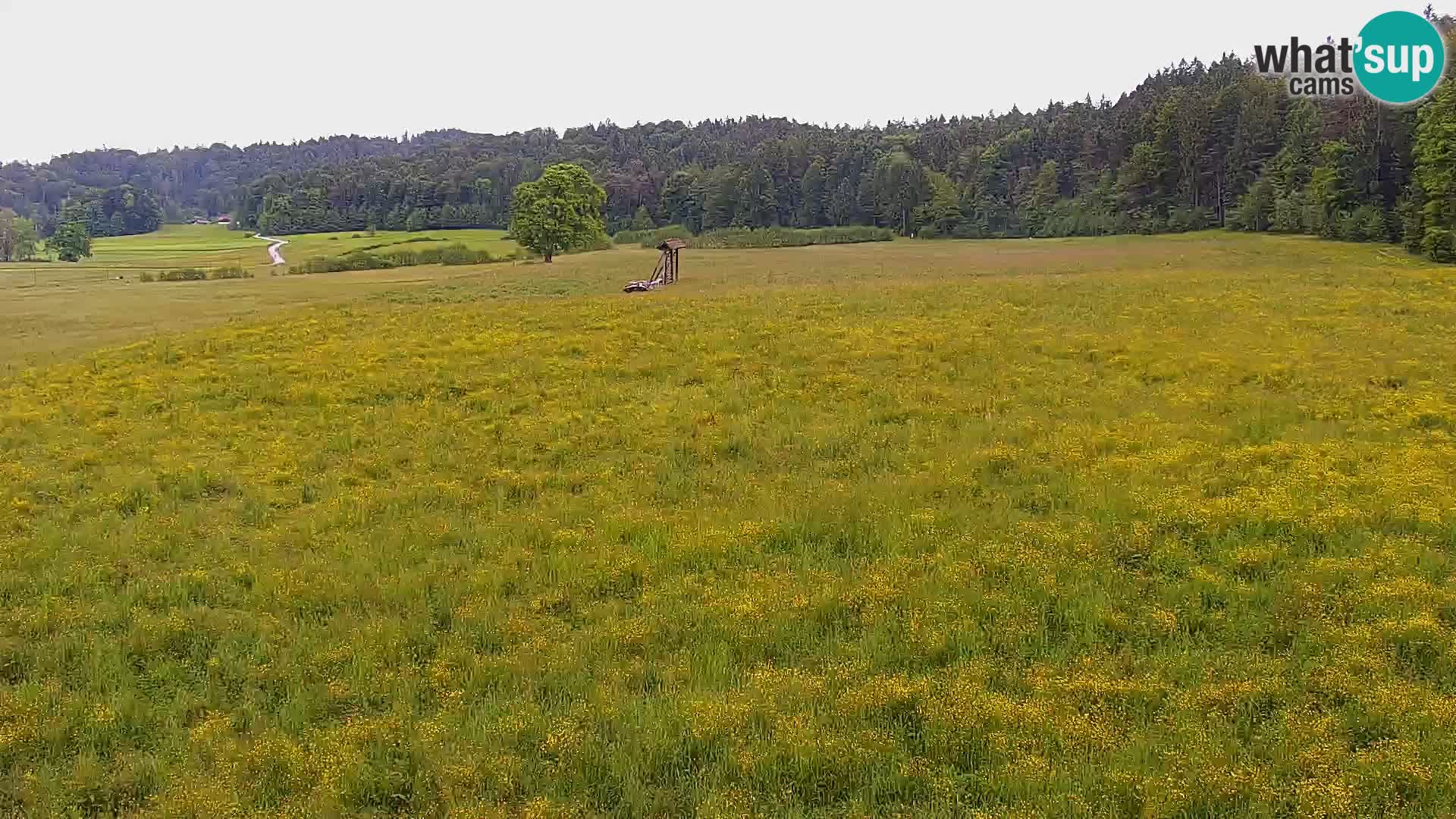 Live webcam Nordic center Bonovec – Medvode