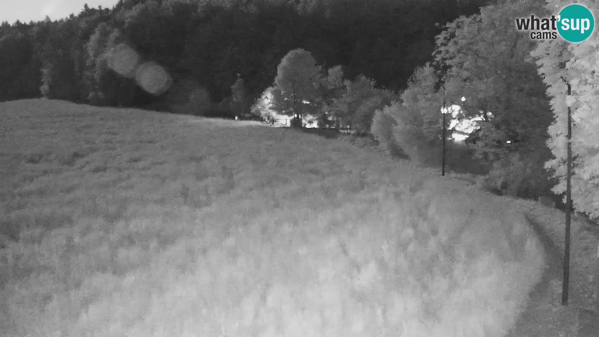 Webcam Live Nordic center Bonovec – Medvode