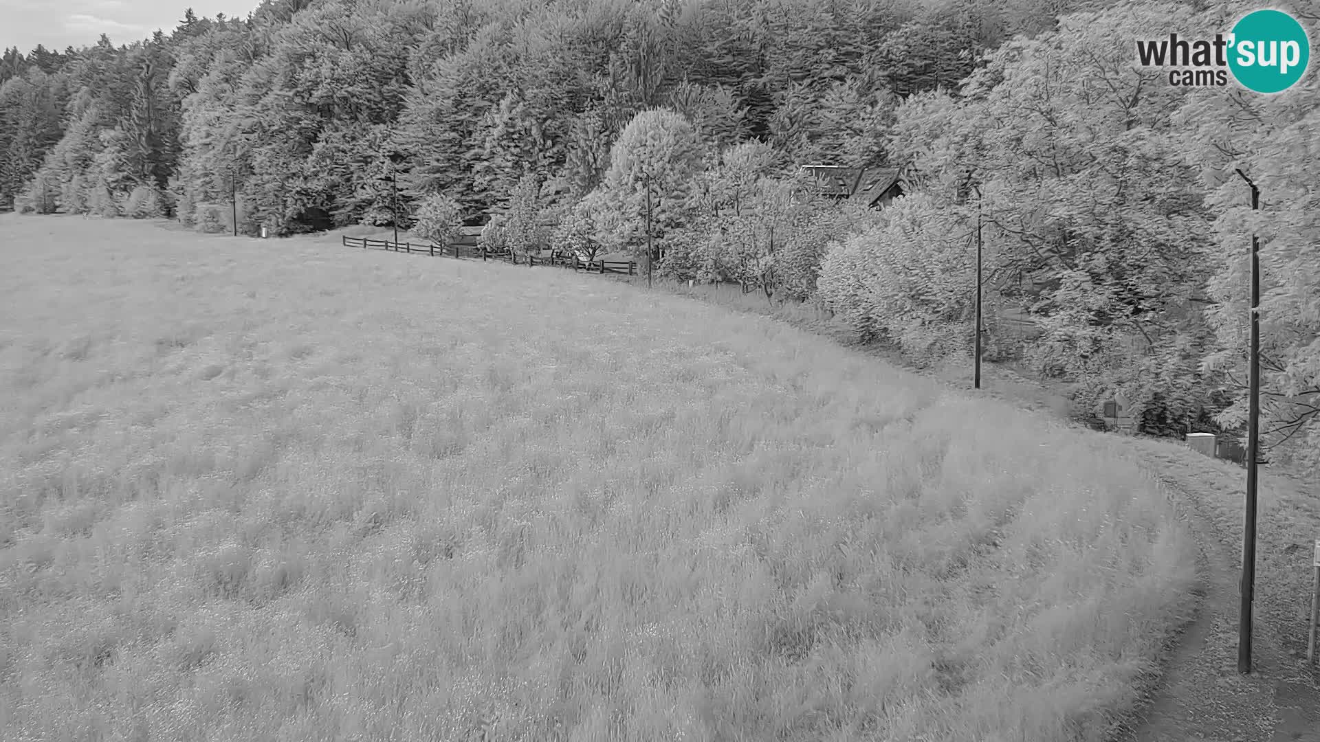 Live webcam Centro sci nordico a Bonovec