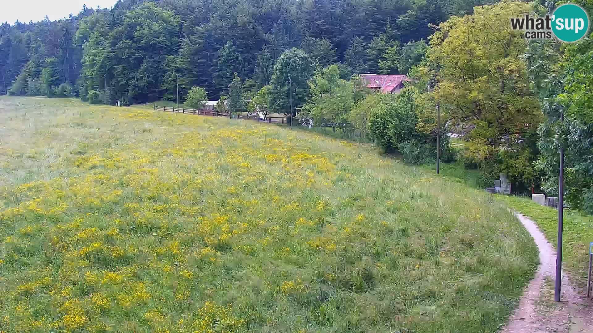 Le nordic center Bonovec – Live webcam