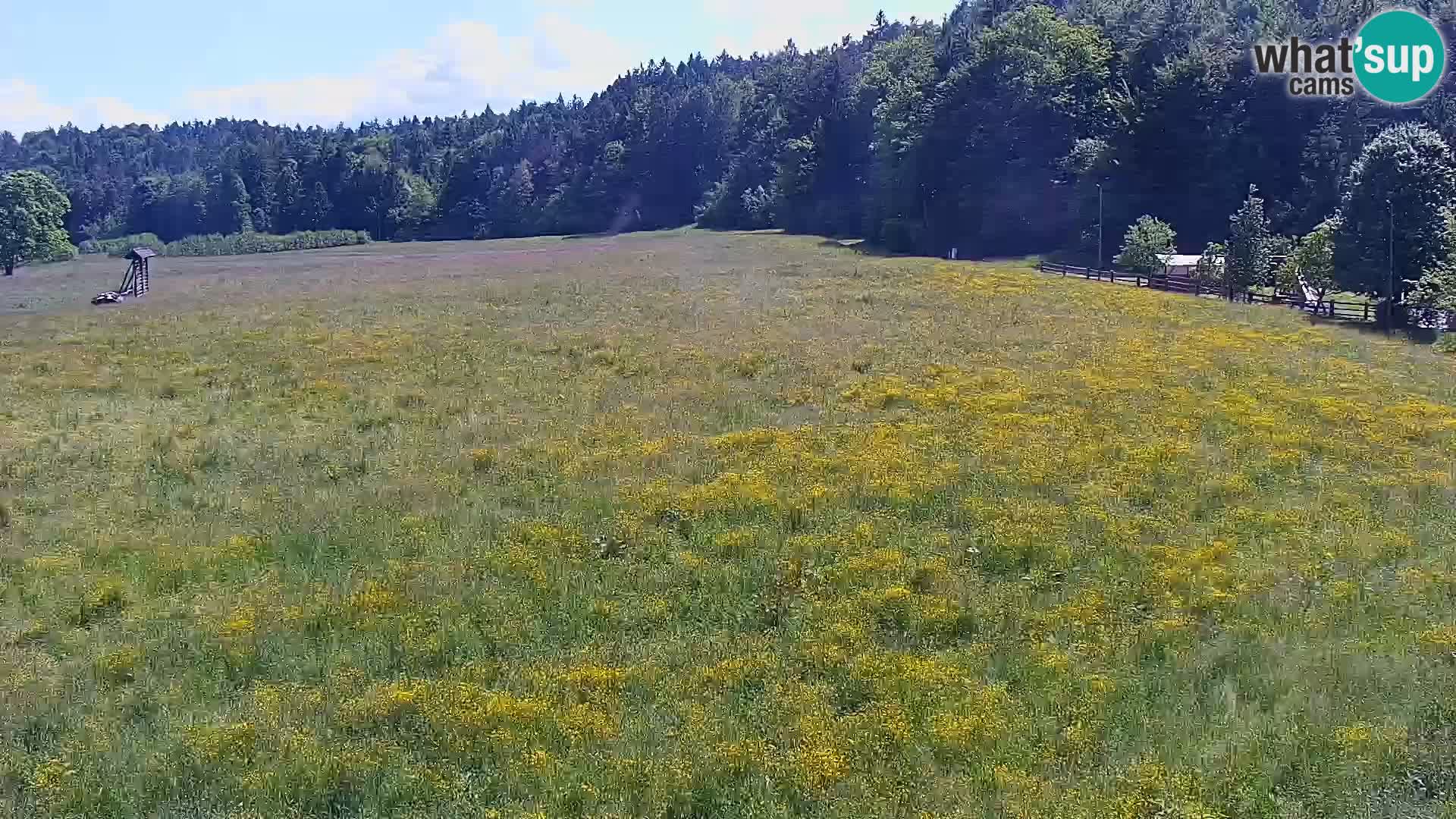 Live webcam Nordic center Bonovec – Medvode