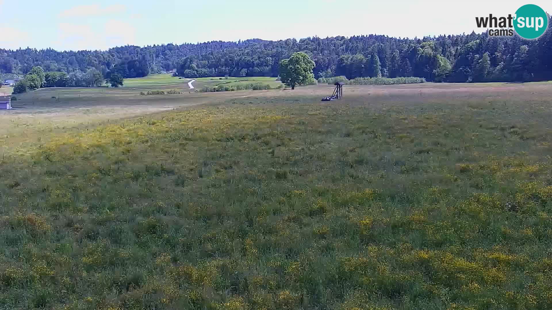 Webcam Live Nordic center Bonovec – Medvode
