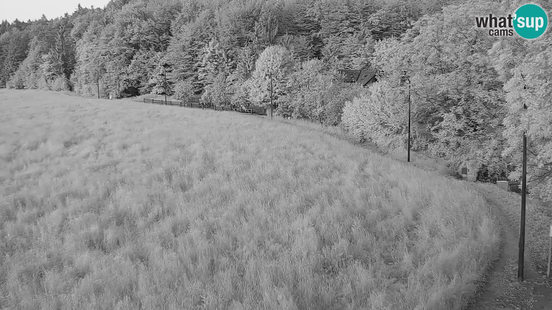 Live webcam Nordic center Bonovec – Medvode