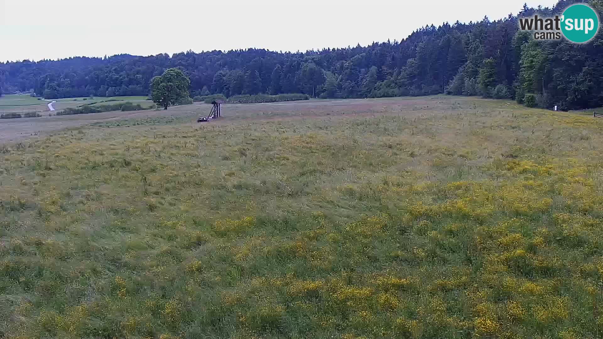 Le nordic center Bonovec – Live webcam