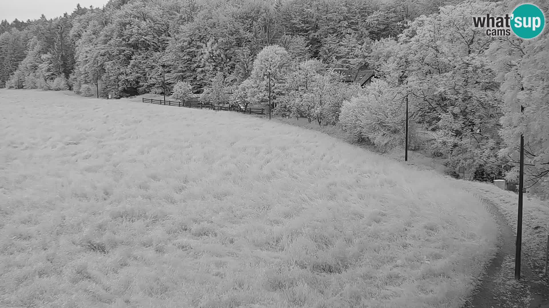 Live webcam Centro sci nordico a Bonovec