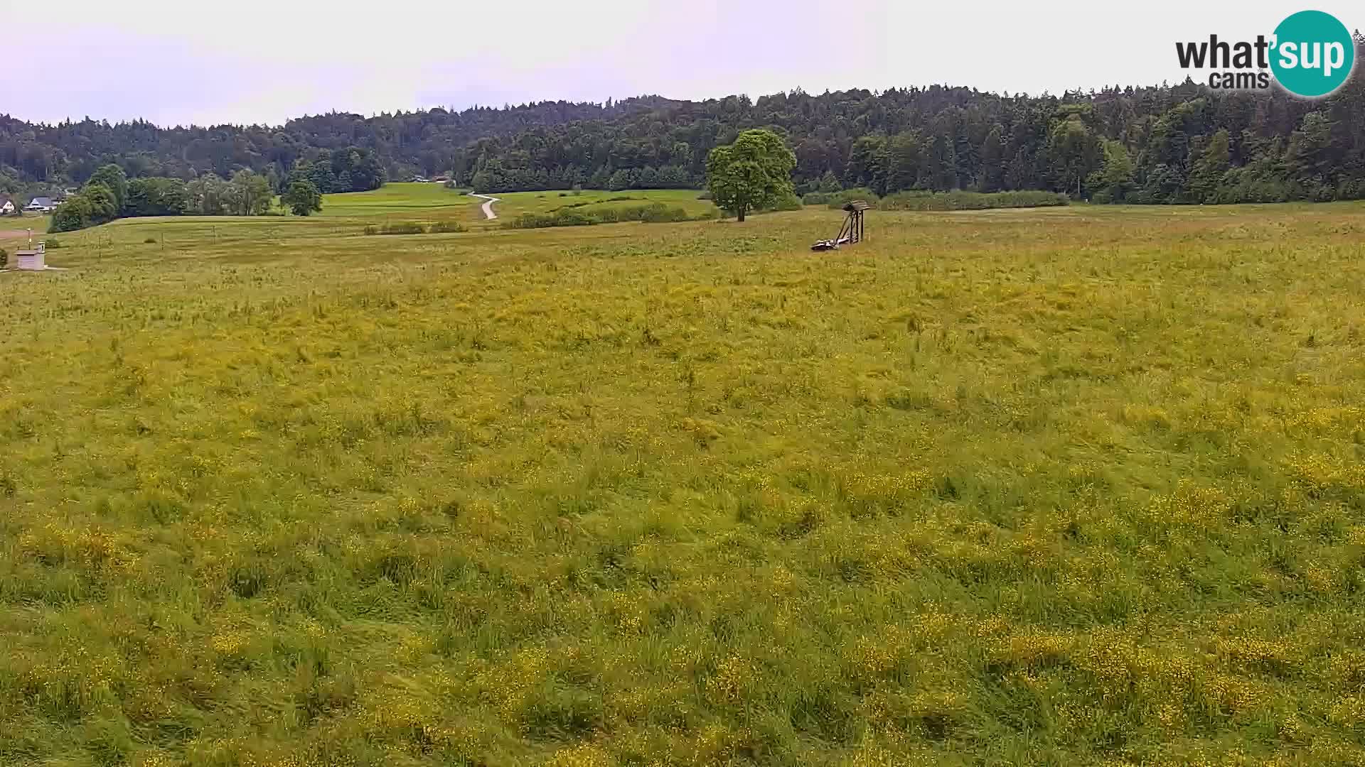 Spletna kamera Nordijski center Bonovec