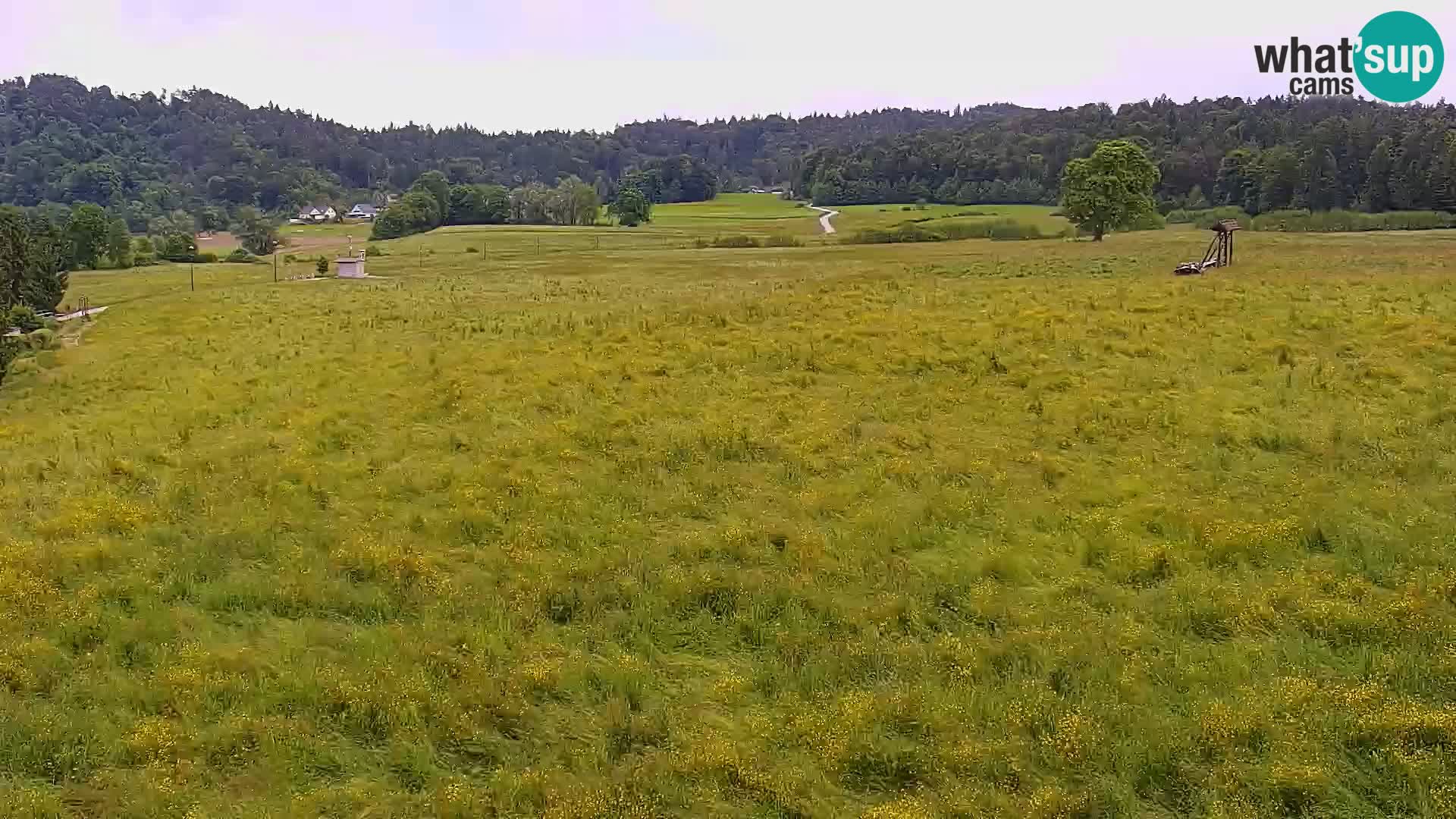Live webcam Centro sci nordico a Bonovec
