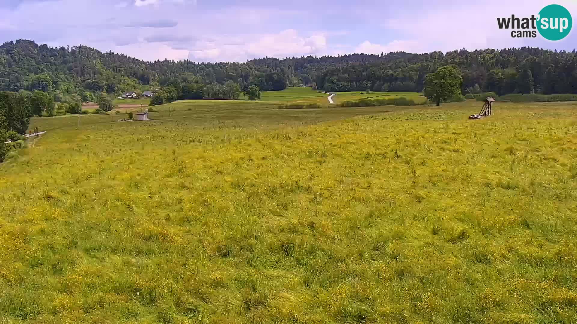 Live webcam Centro sci nordico a Bonovec