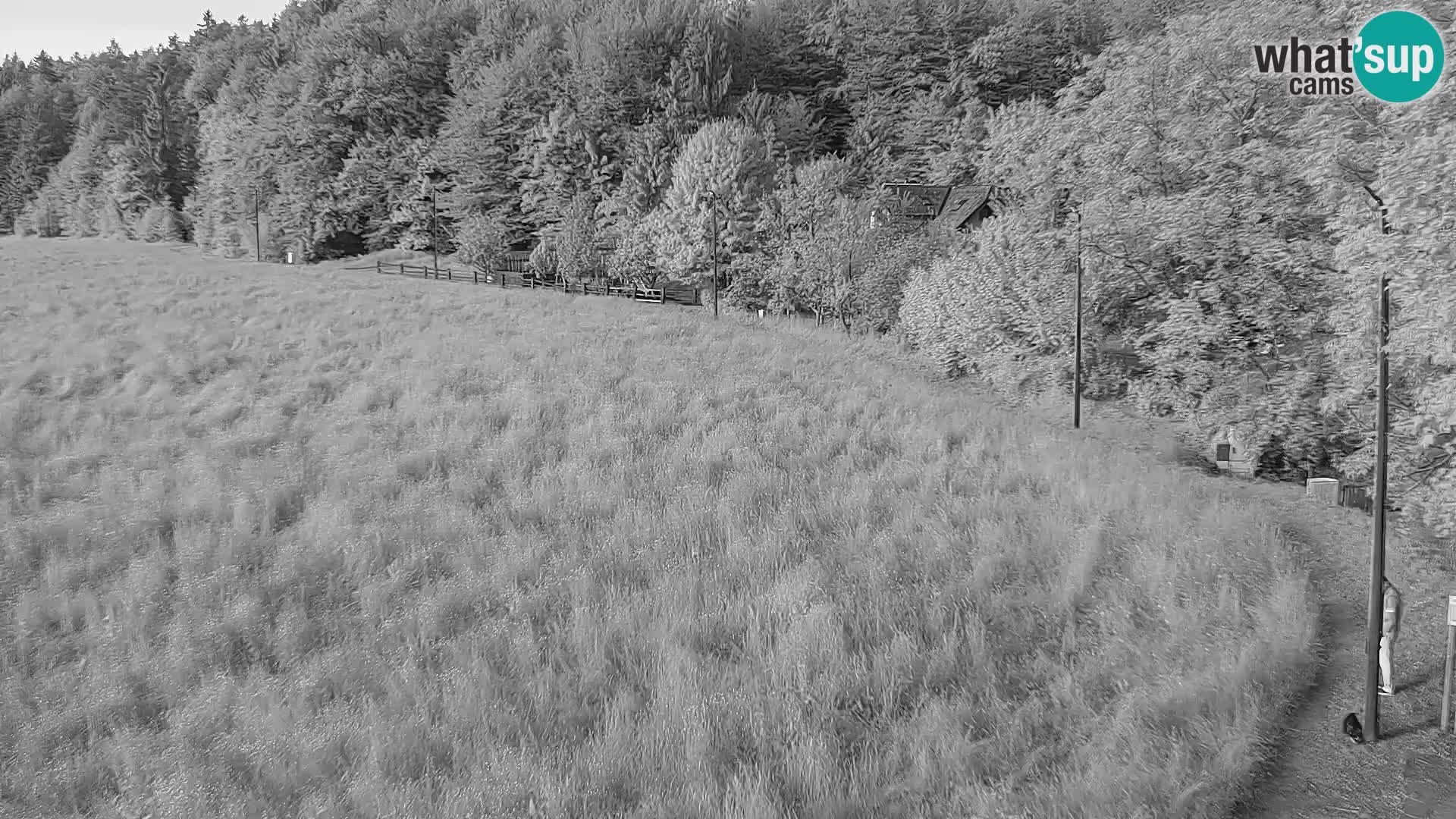 Live webcam Nordic center Bonovec – Medvode