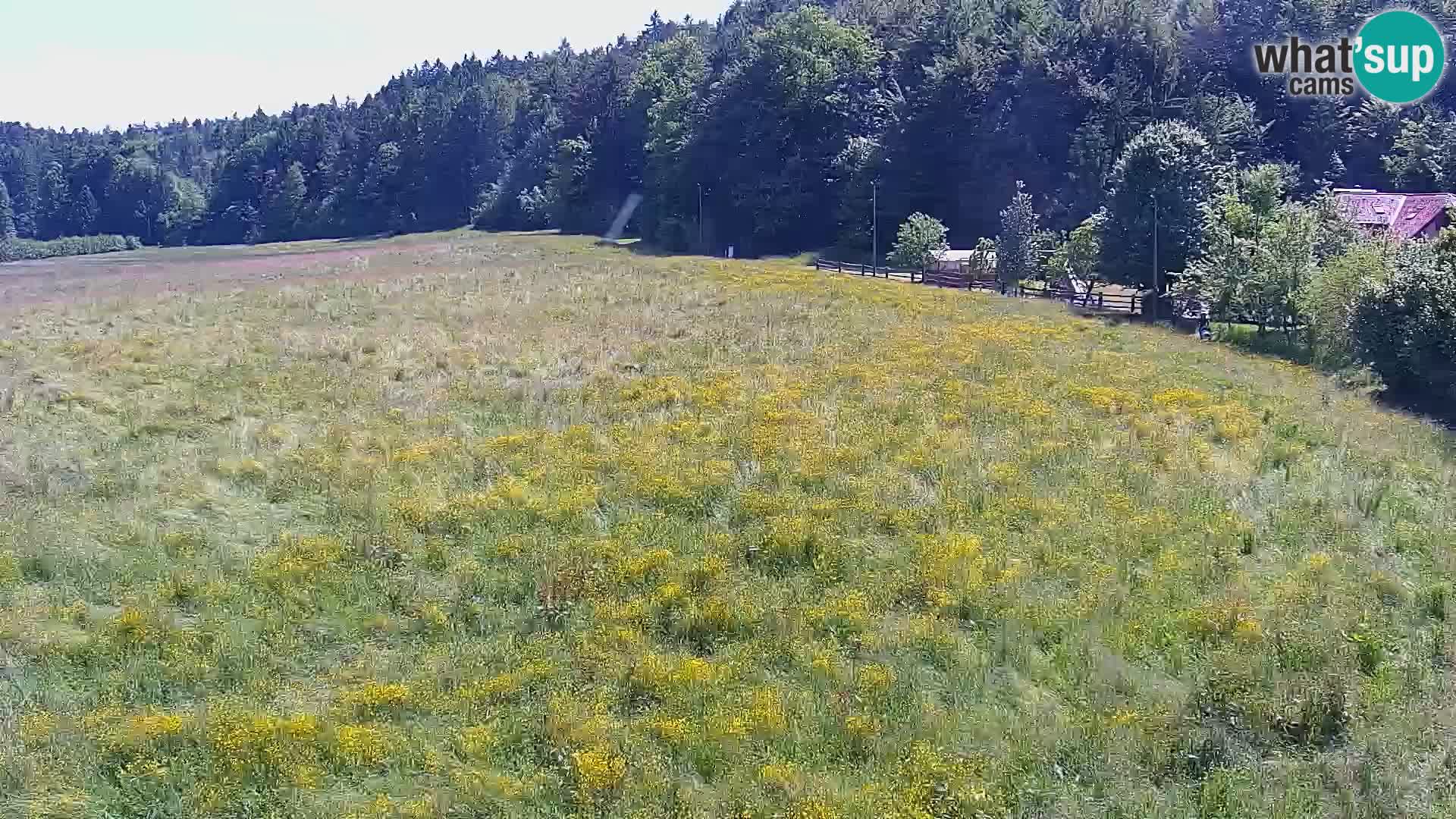Live webcam Nordic center Bonovec – Medvode