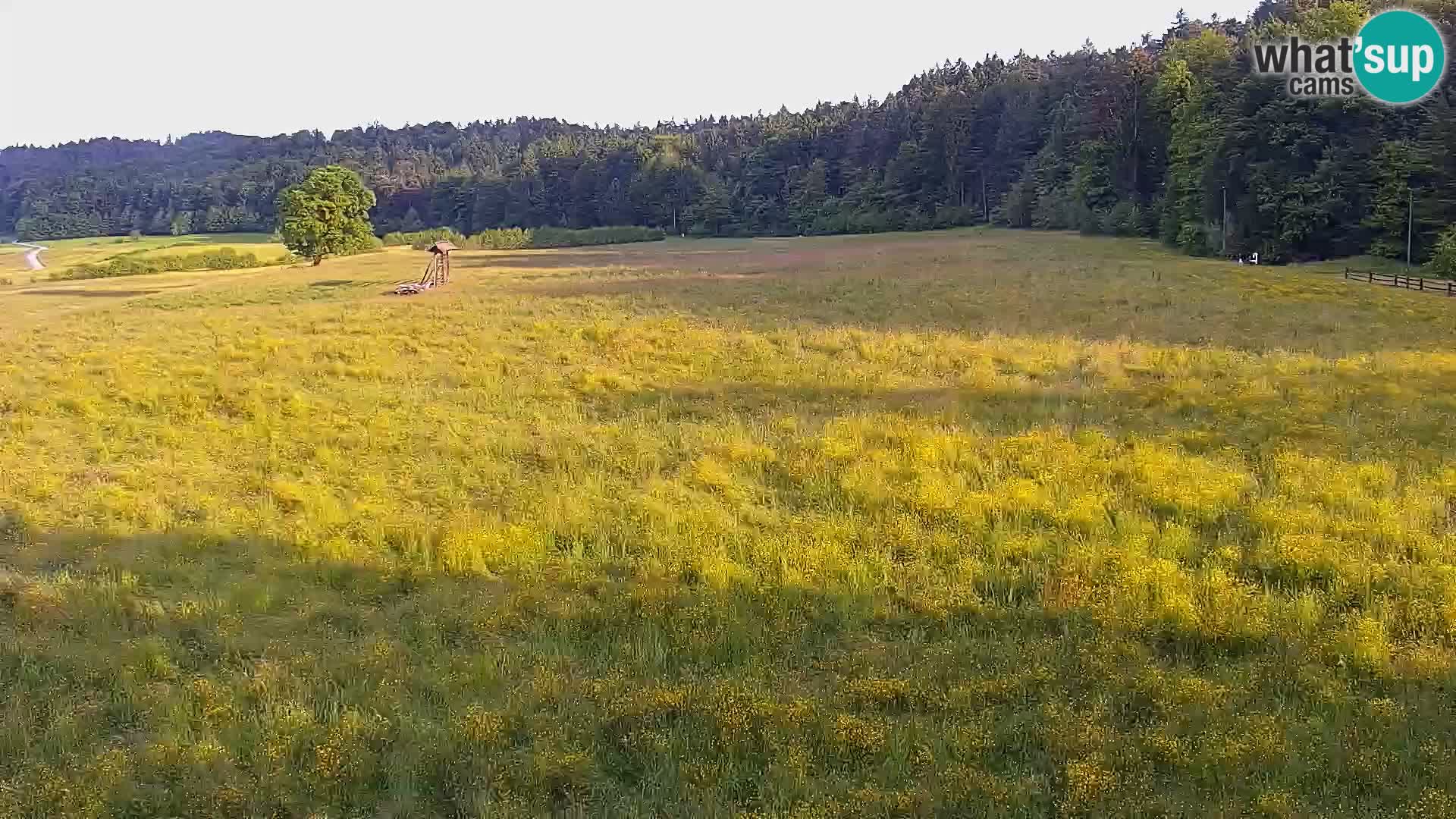Webcam Live Nordic center Bonovec – Medvode