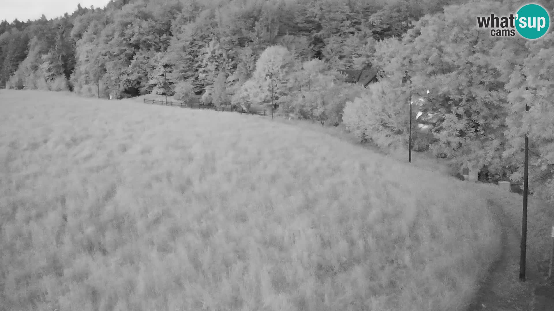 Live webcam Nordic center Bonovec – Medvode
