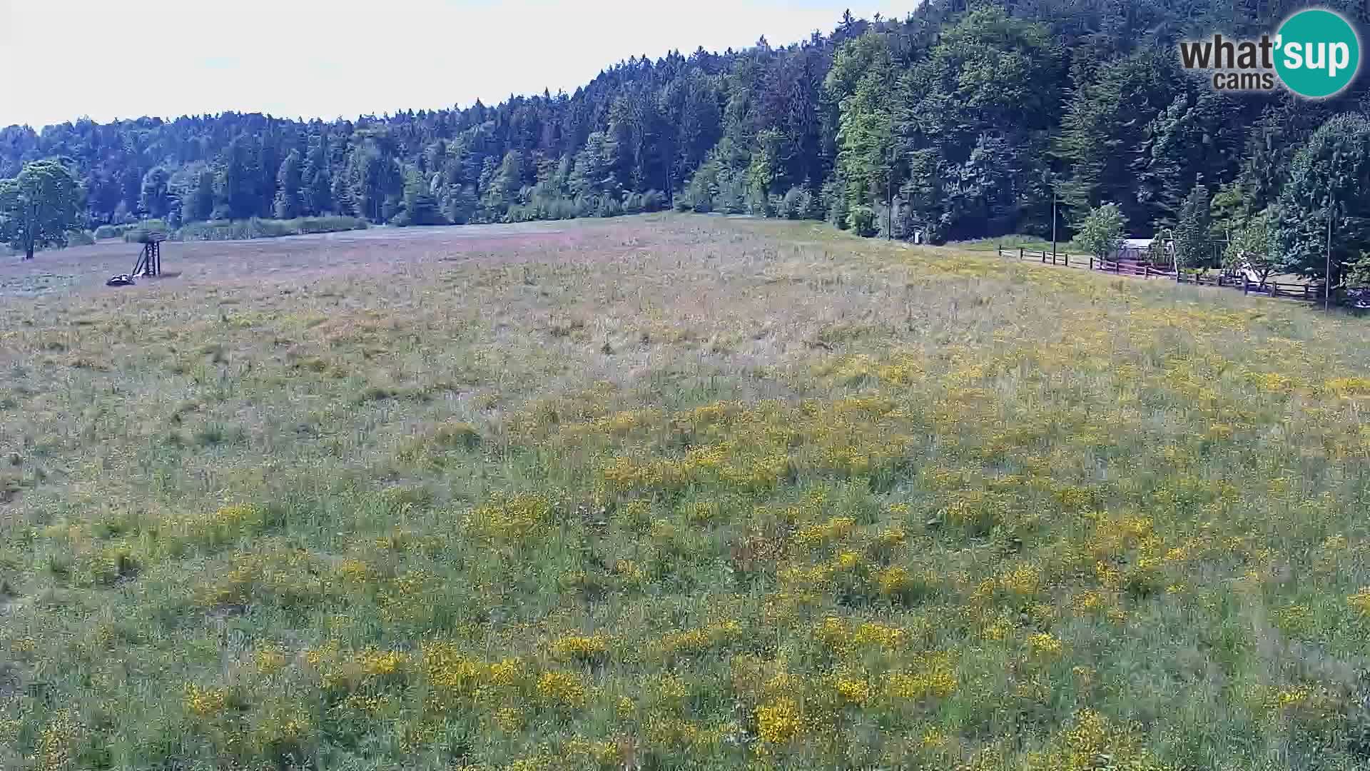 Live webcam Centro sci nordico a Bonovec