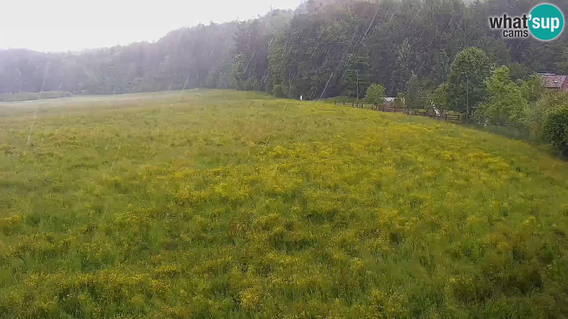 Le nordic center Bonovec – Live webcam