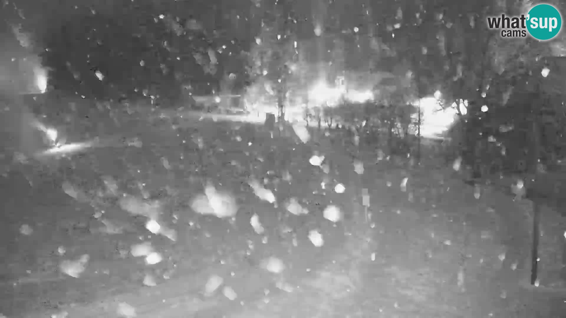 Live webcam Centro sci nordico a Bonovec