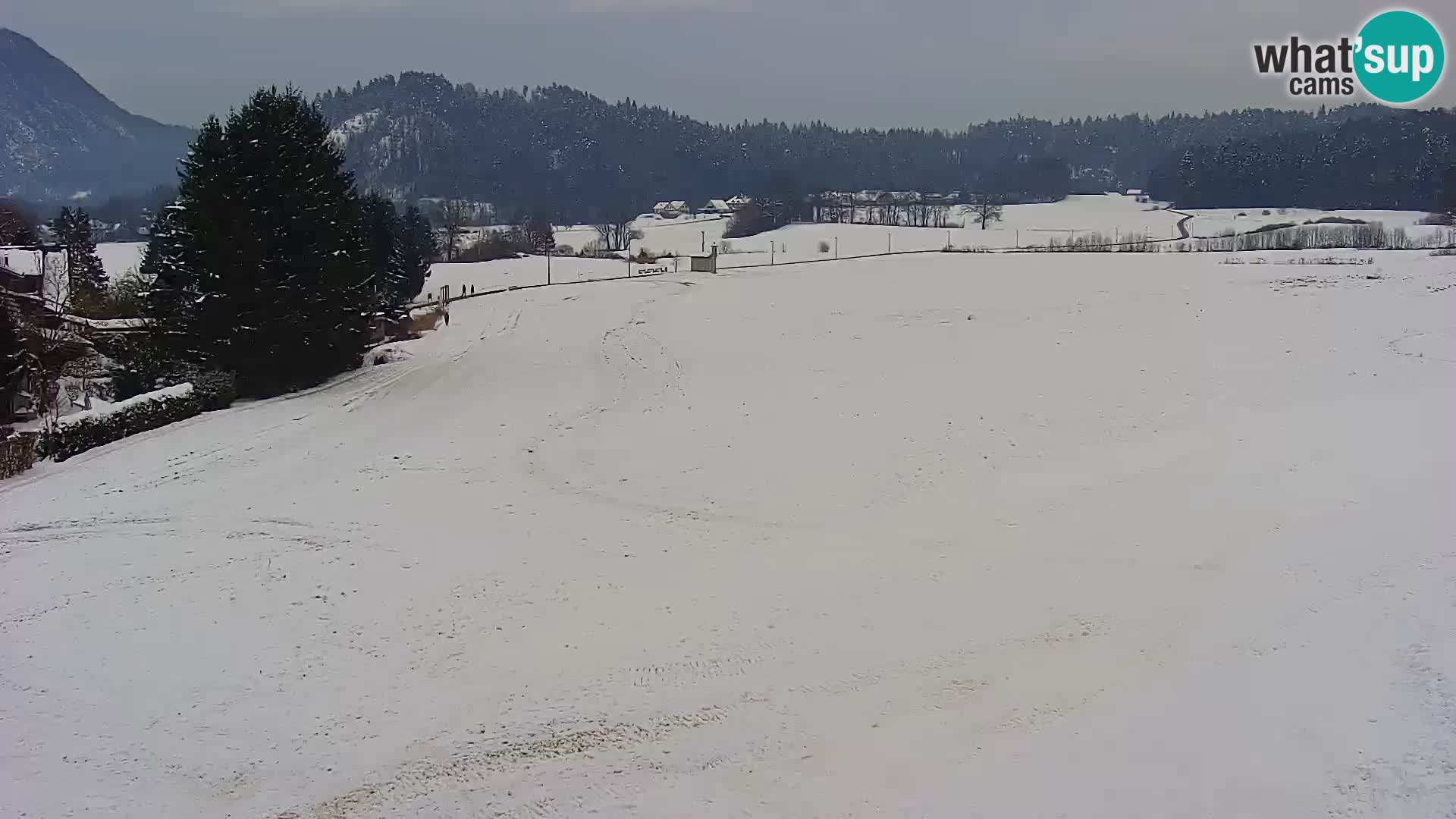 Live webcam Centro sci nordico a Bonovec