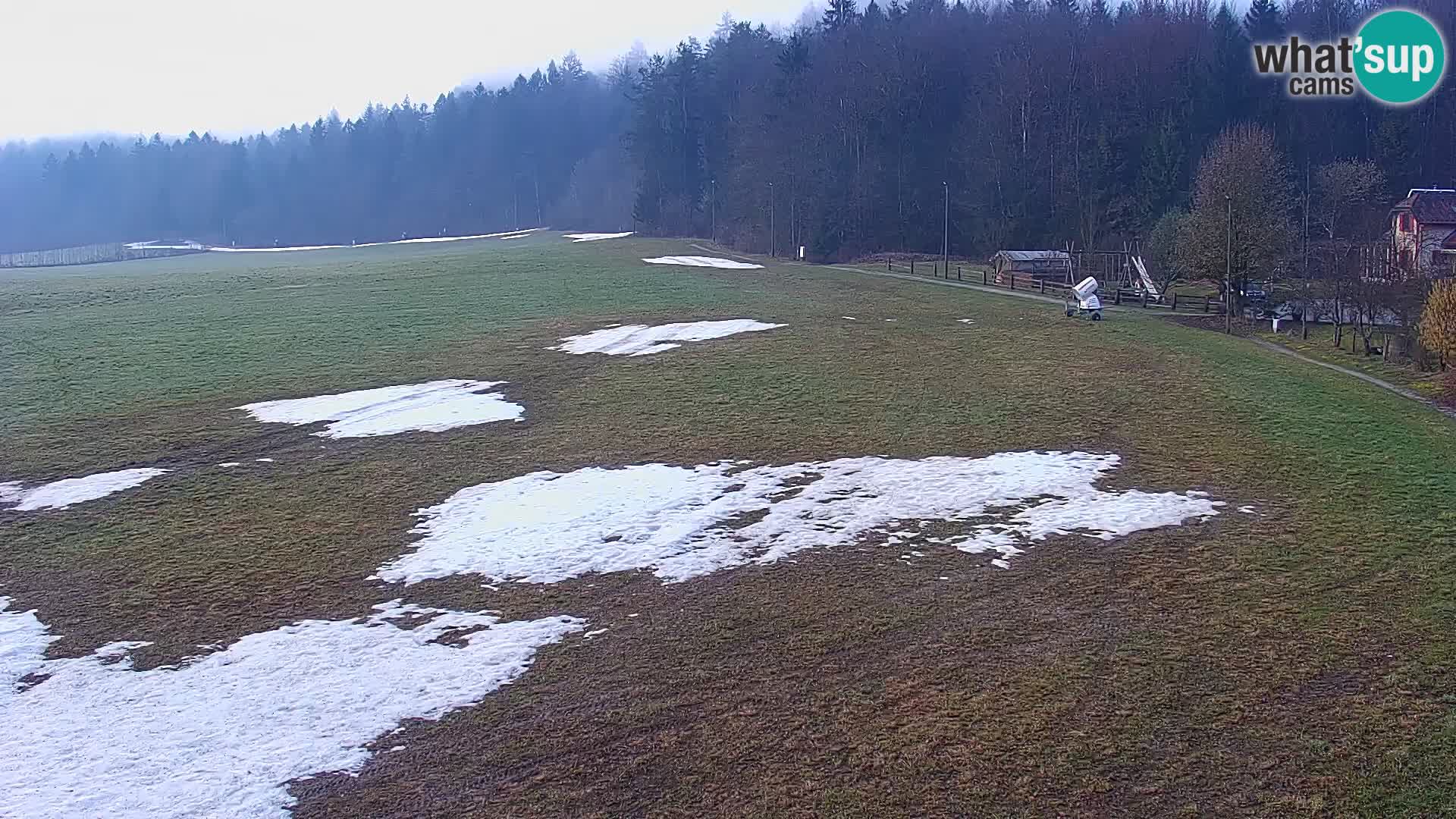 Web kamera Nordijski centar Bonovec