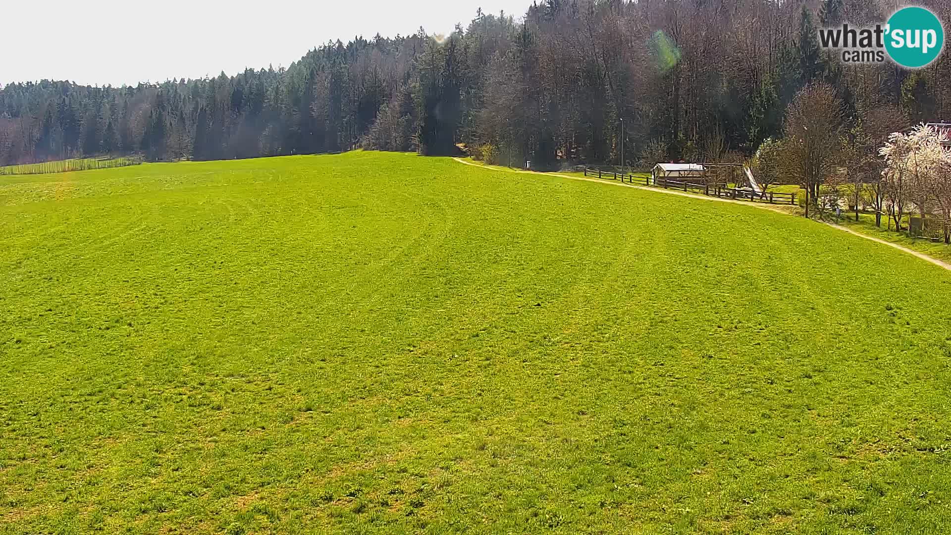 Live webcam Centro sci nordico a Bonovec