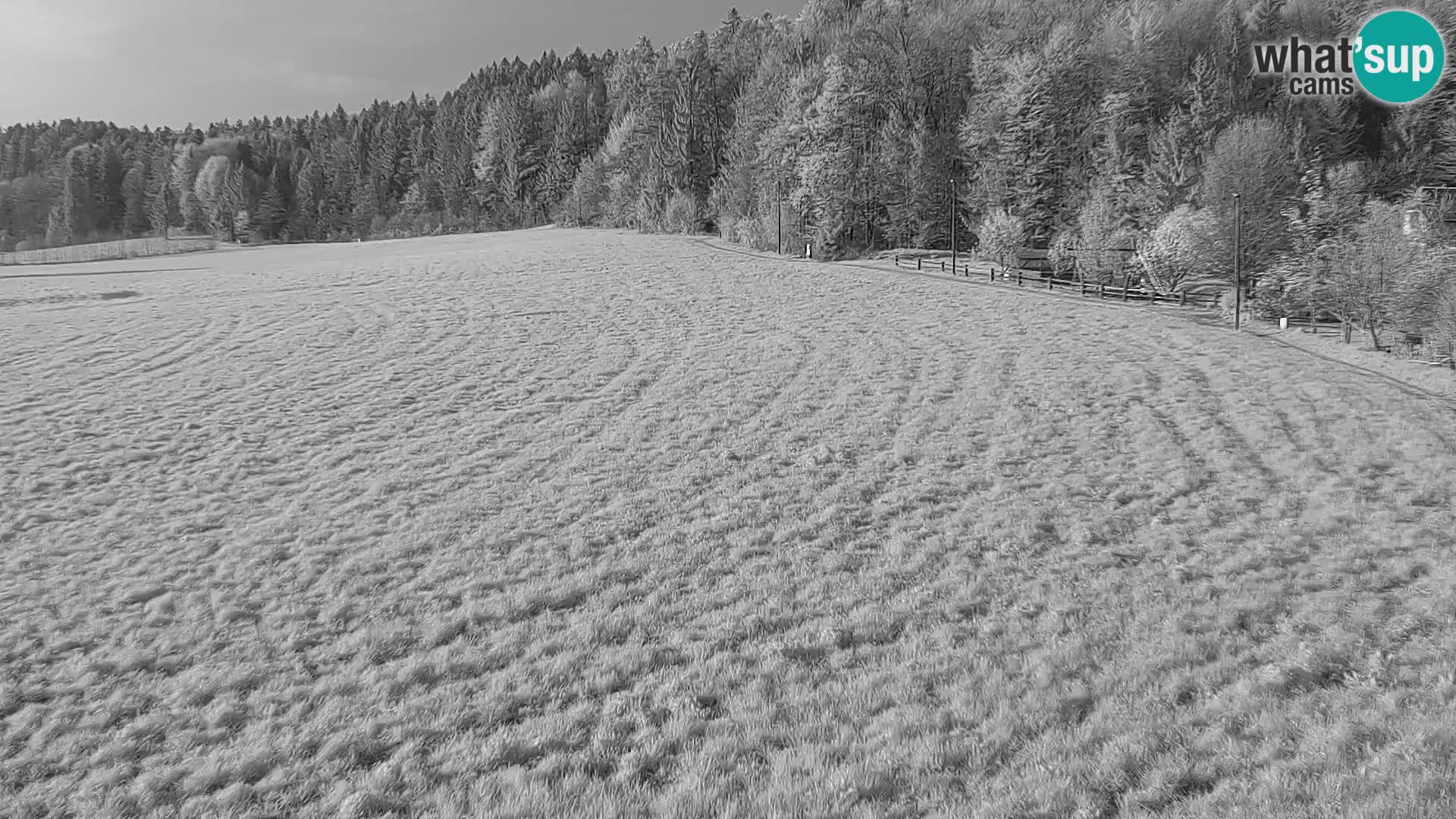 Webcam Live Nordic center Bonovec – Medvode