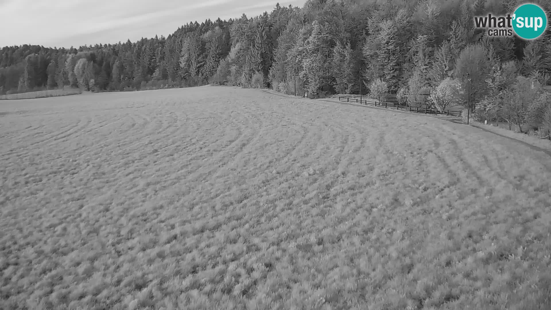 Spletna kamera Nordijski center Bonovec