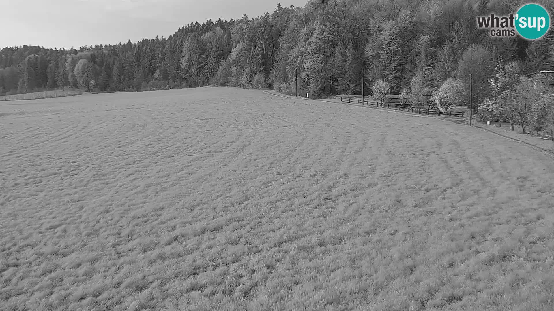 Live webcam Nordic center Bonovec – Medvode