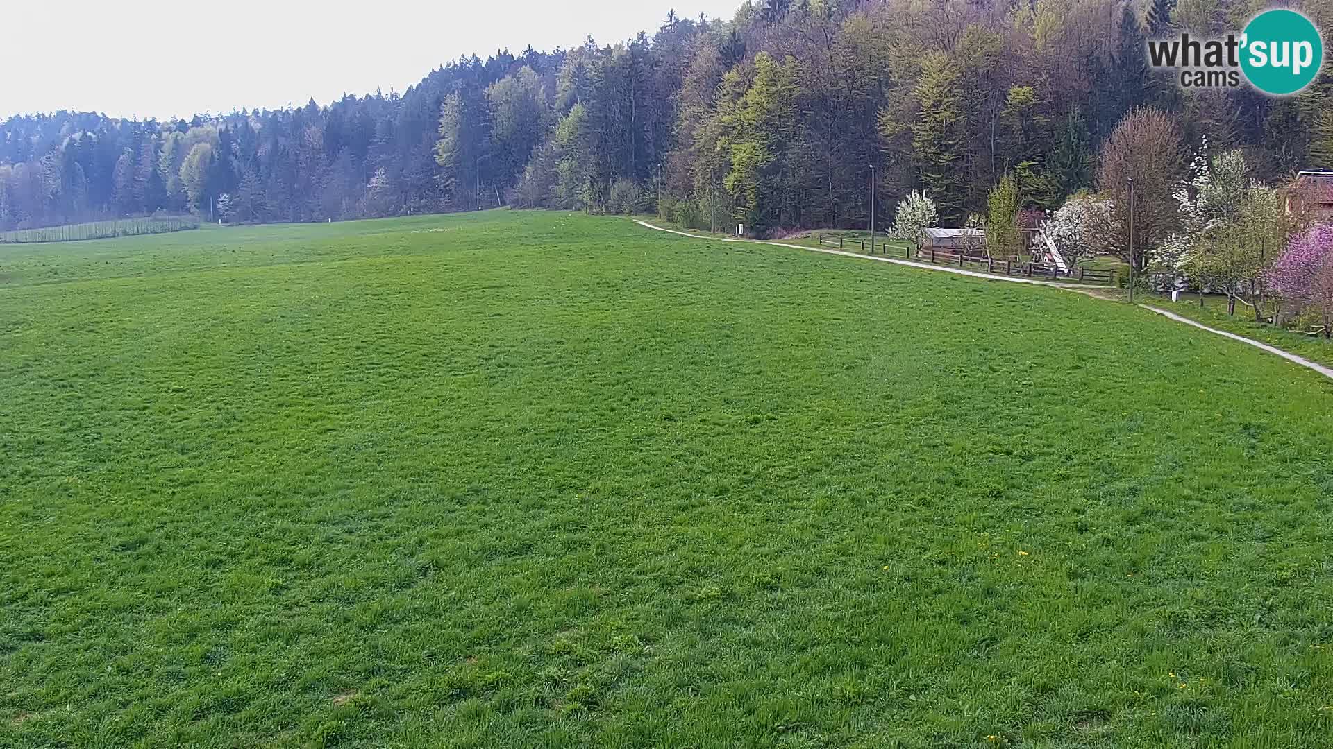 Le nordic center Bonovec – Live webcam