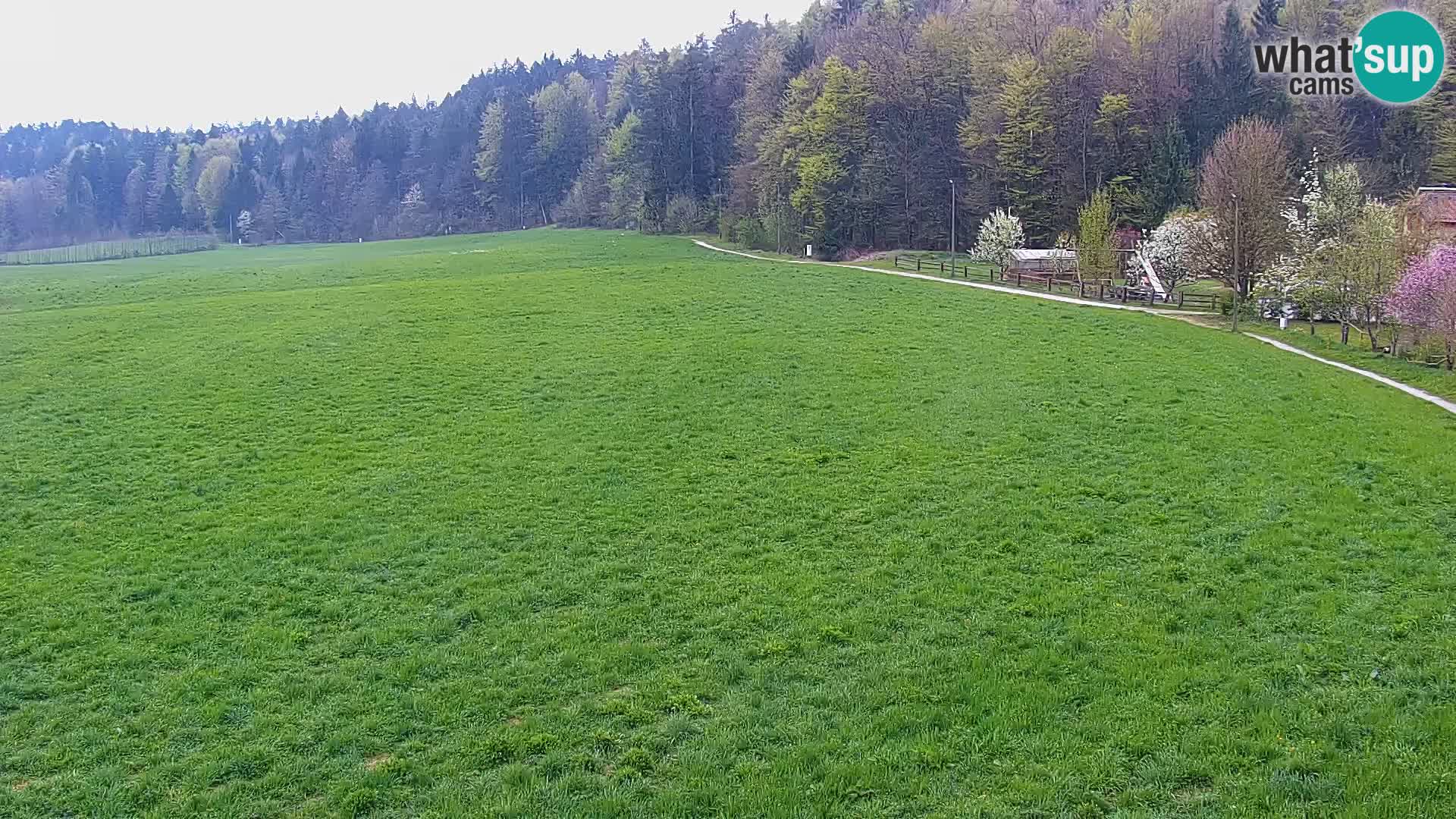 Live webcam Centro sci nordico a Bonovec
