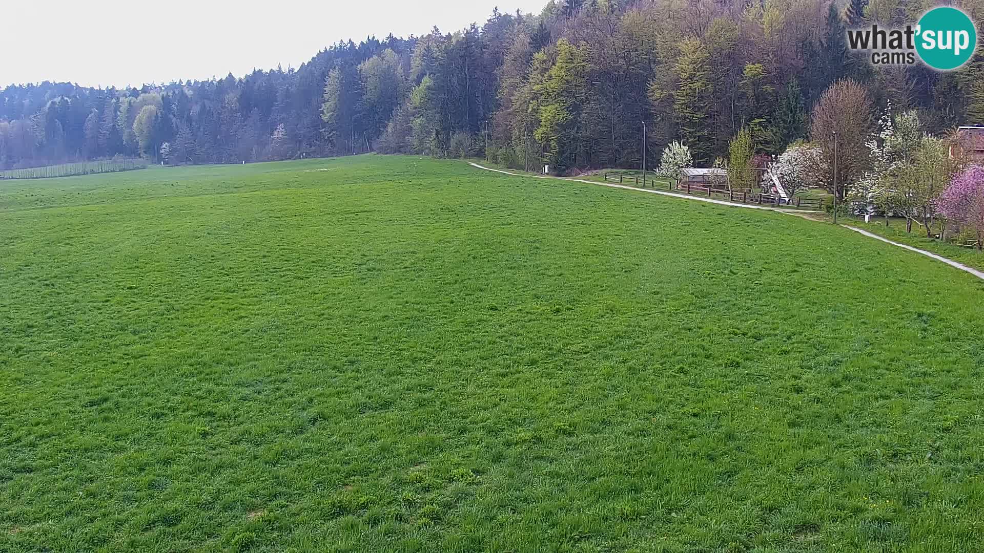 Le nordic center Bonovec – Live webcam