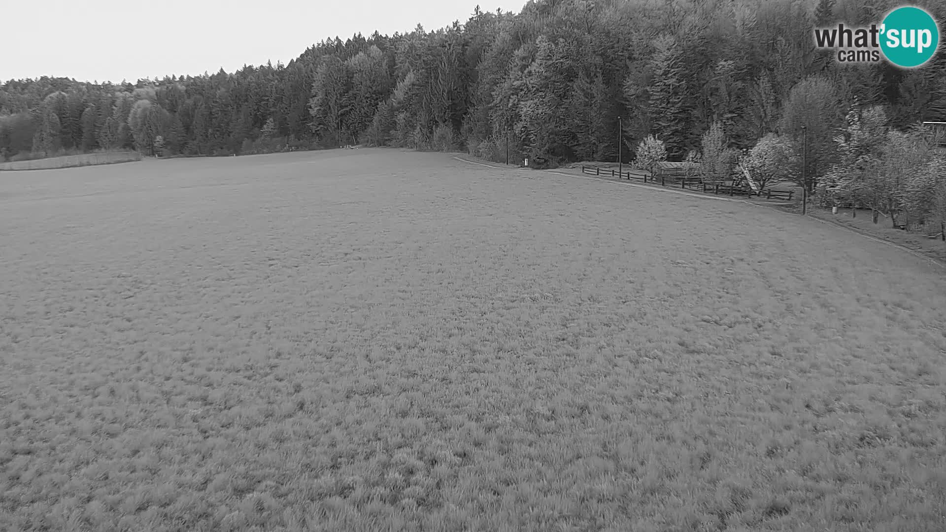 Webcam Live Nordic center Bonovec – Medvode