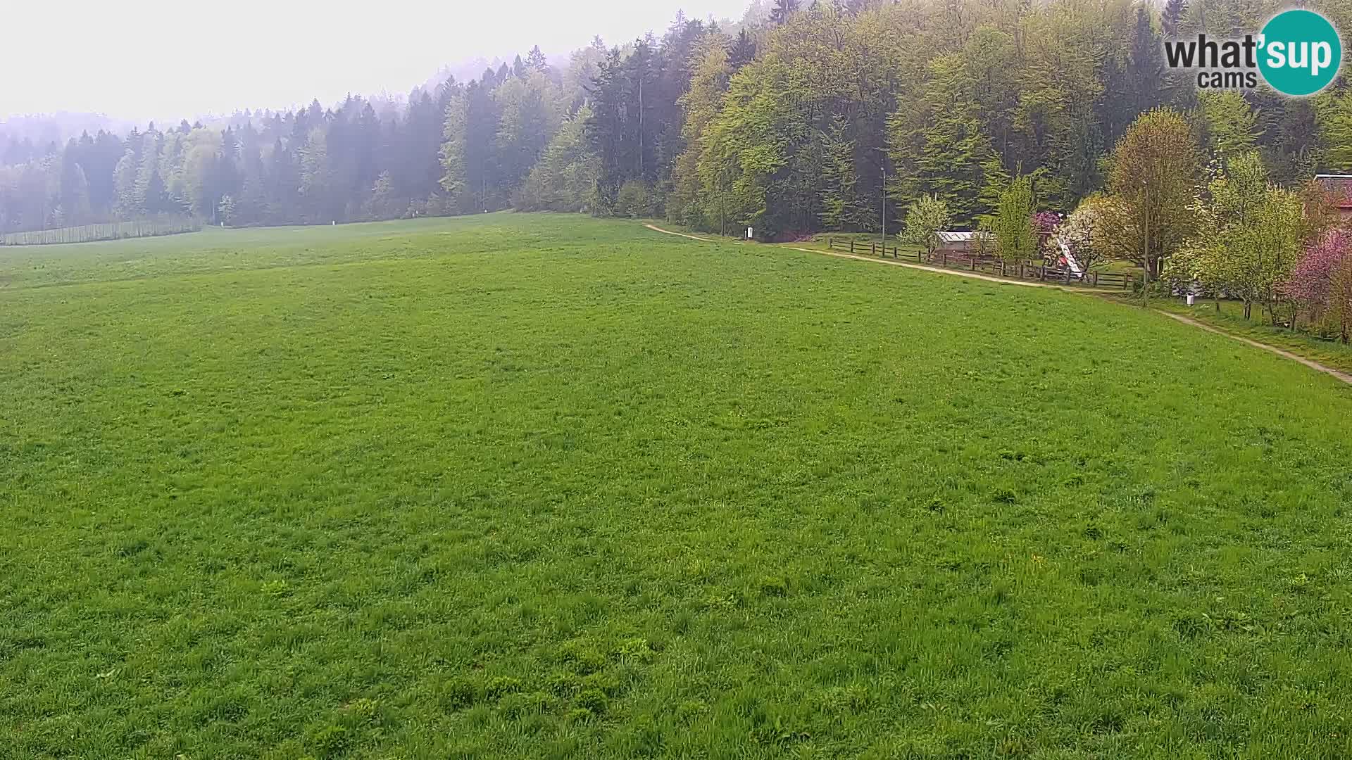 Live webcam Centro sci nordico a Bonovec