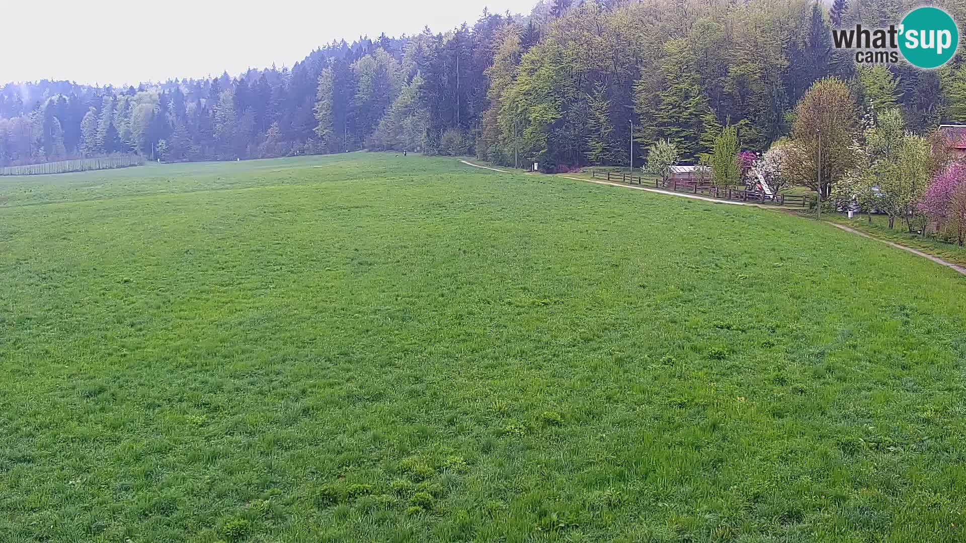 Webcam Live Nordic center Bonovec – Medvode