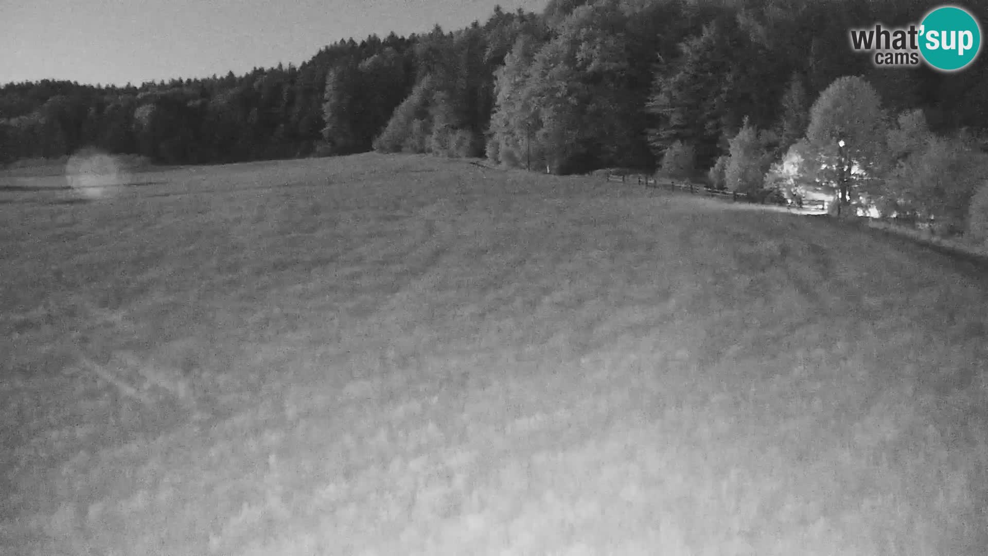Live webcam Centro sci nordico a Bonovec