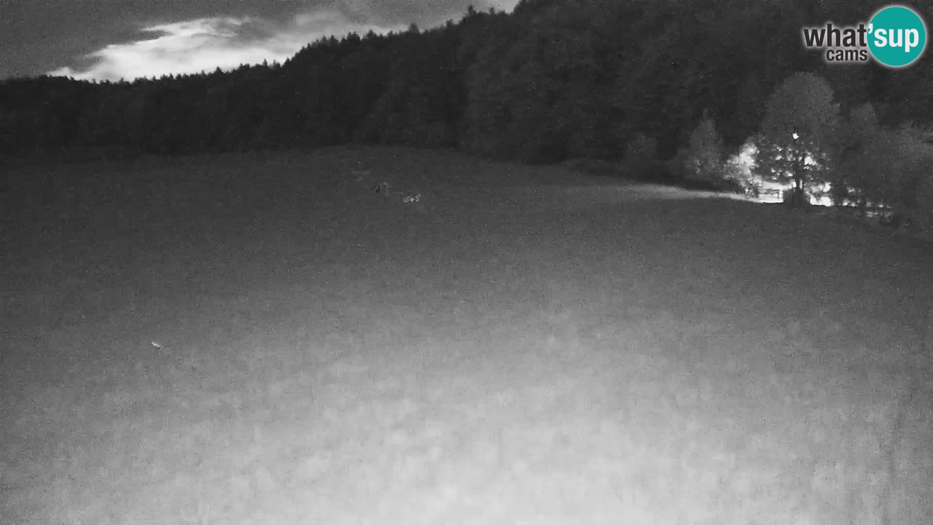 Webcam Live Nordic center Bonovec – Medvode