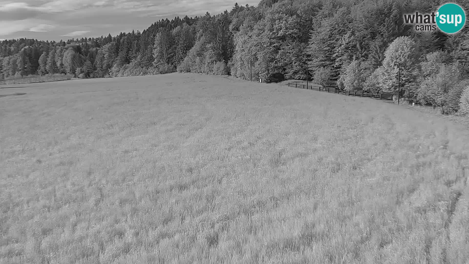 Live webcam Nordic center Bonovec – Medvode