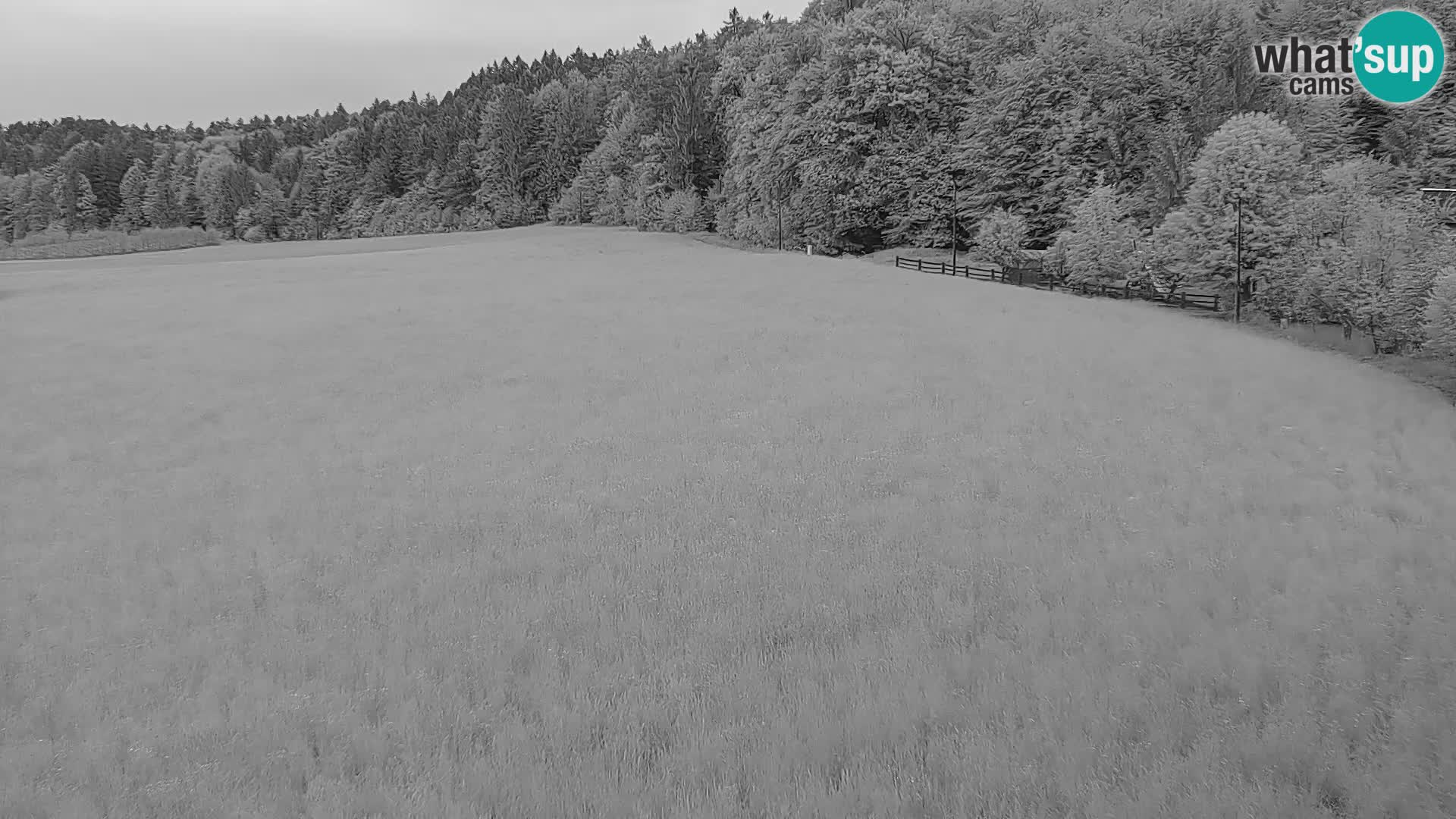Live webcam Centro sci nordico a Bonovec