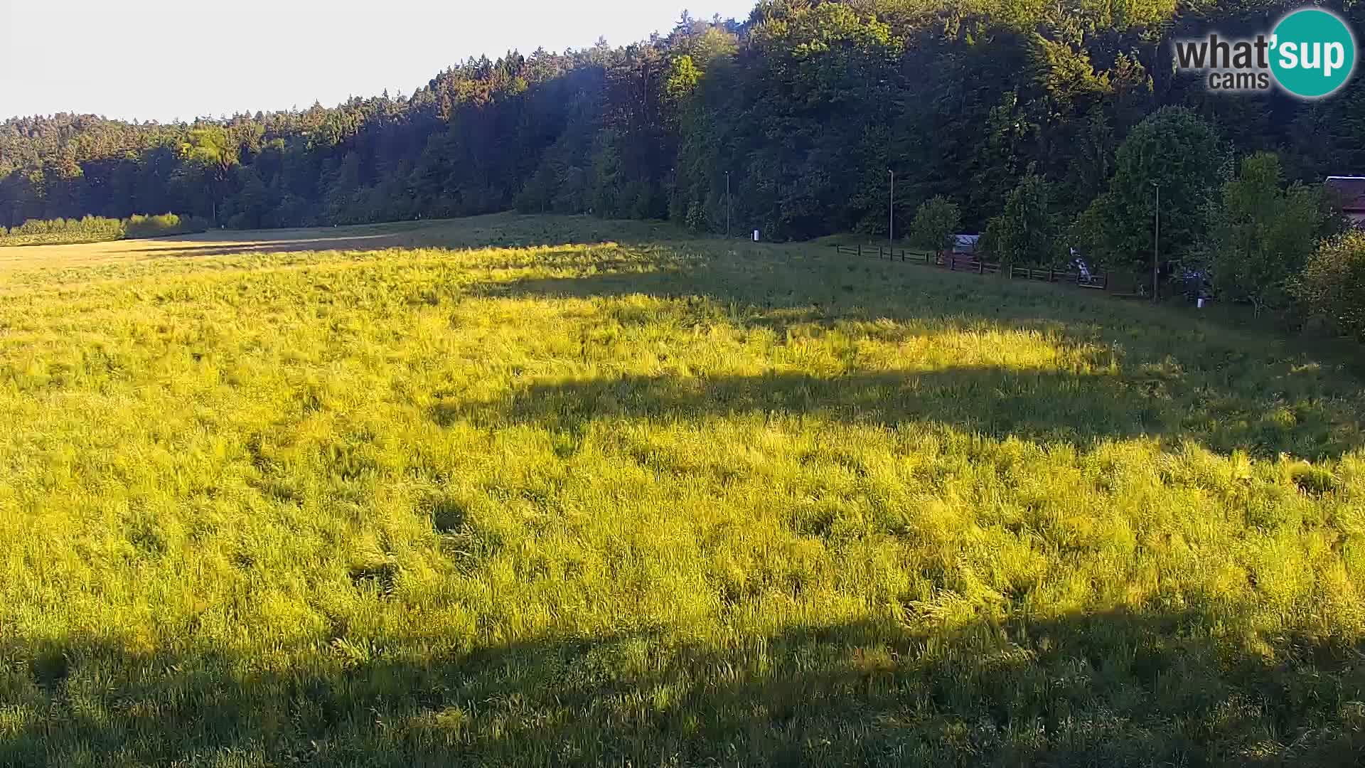 Webcam Live Nordic center Bonovec – Medvode
