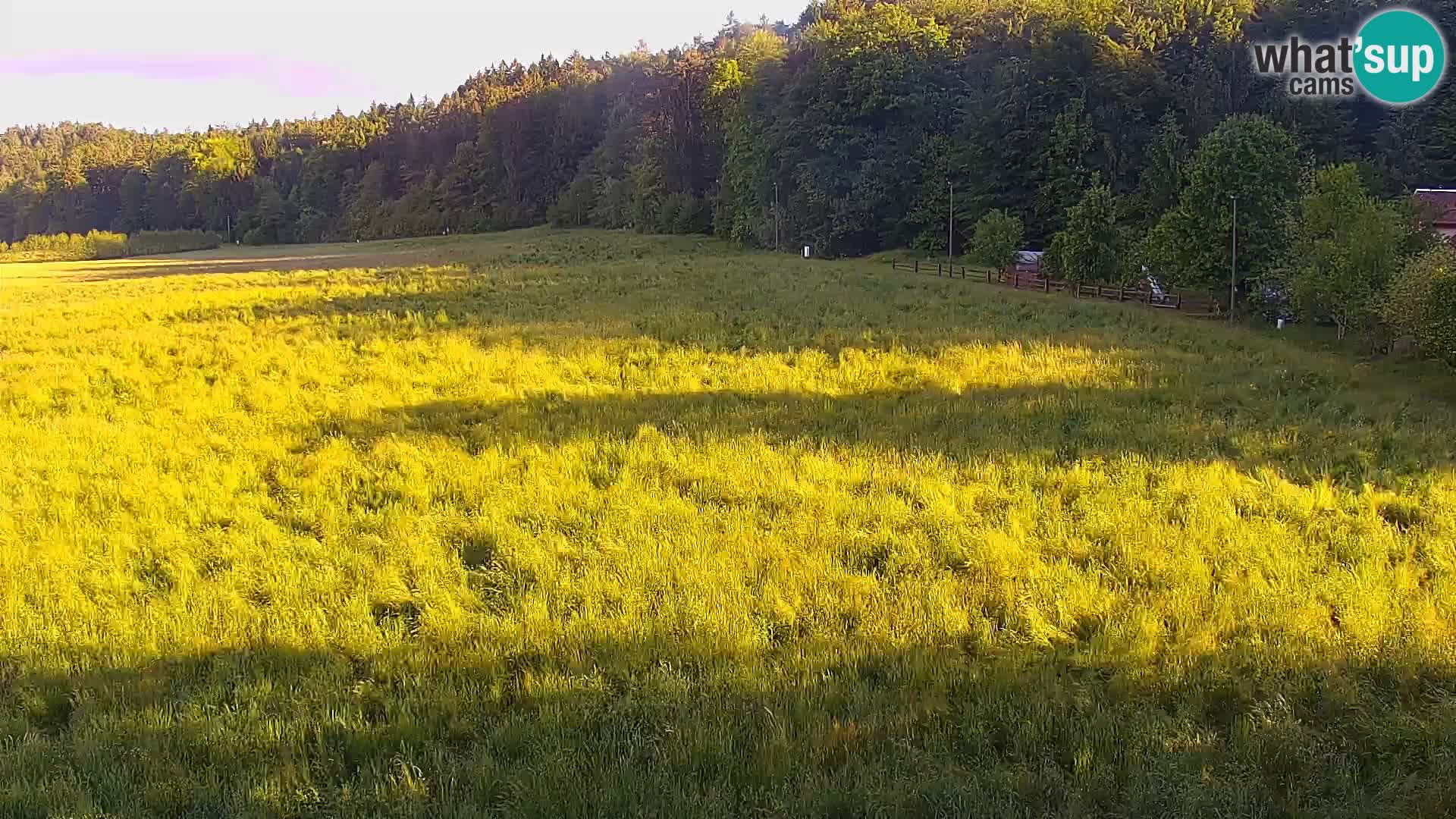 Spletna kamera Nordijski center Bonovec